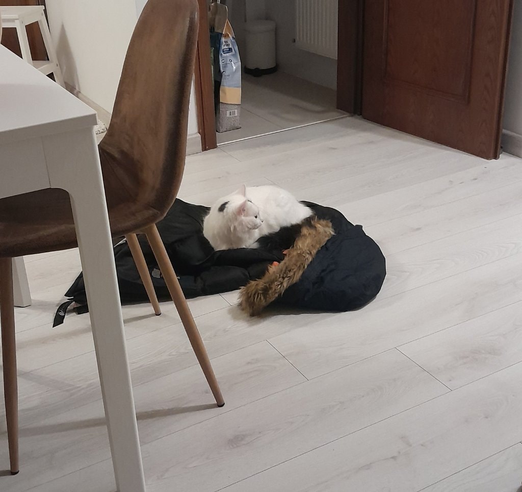 image-20