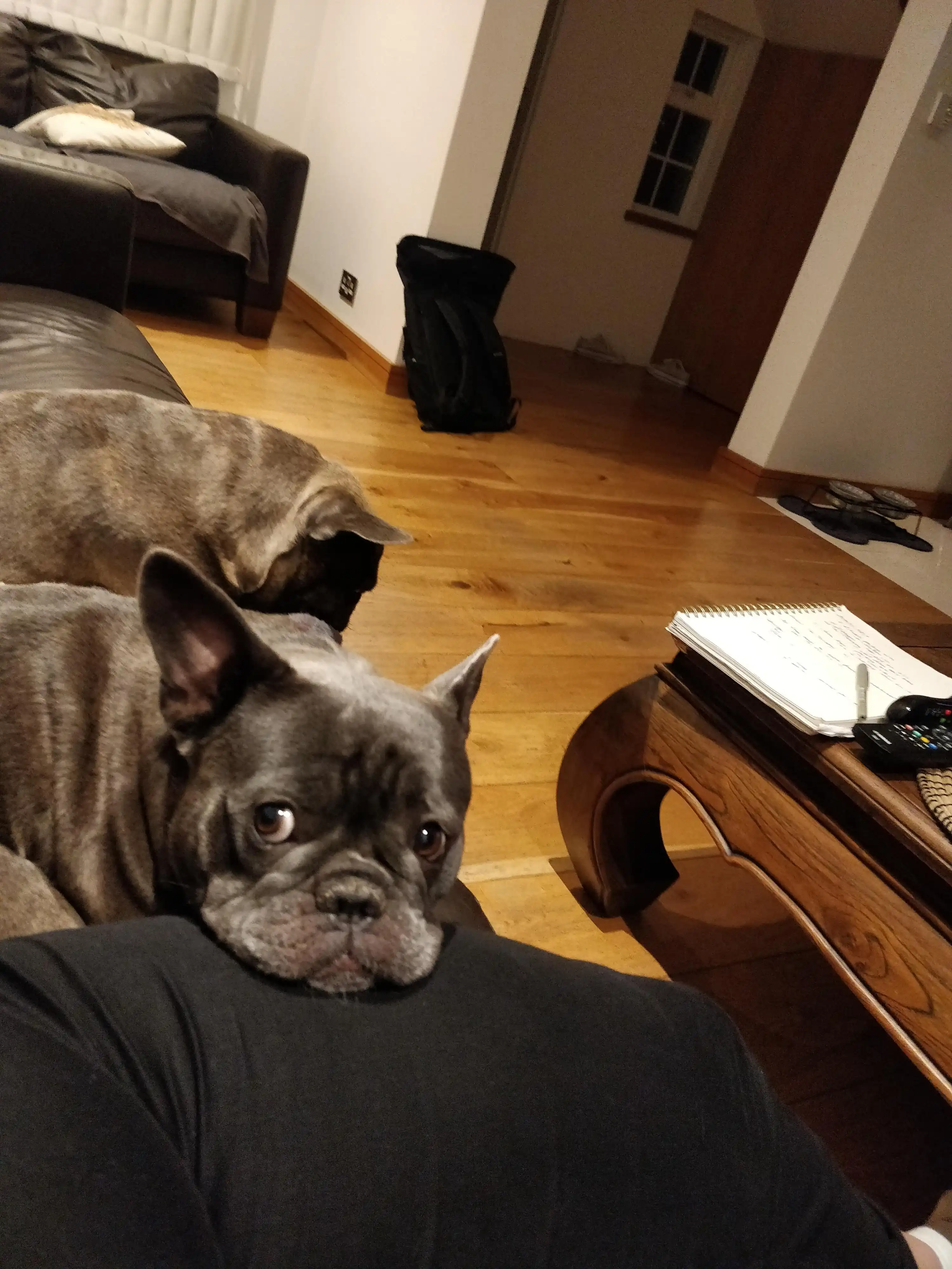 image-6