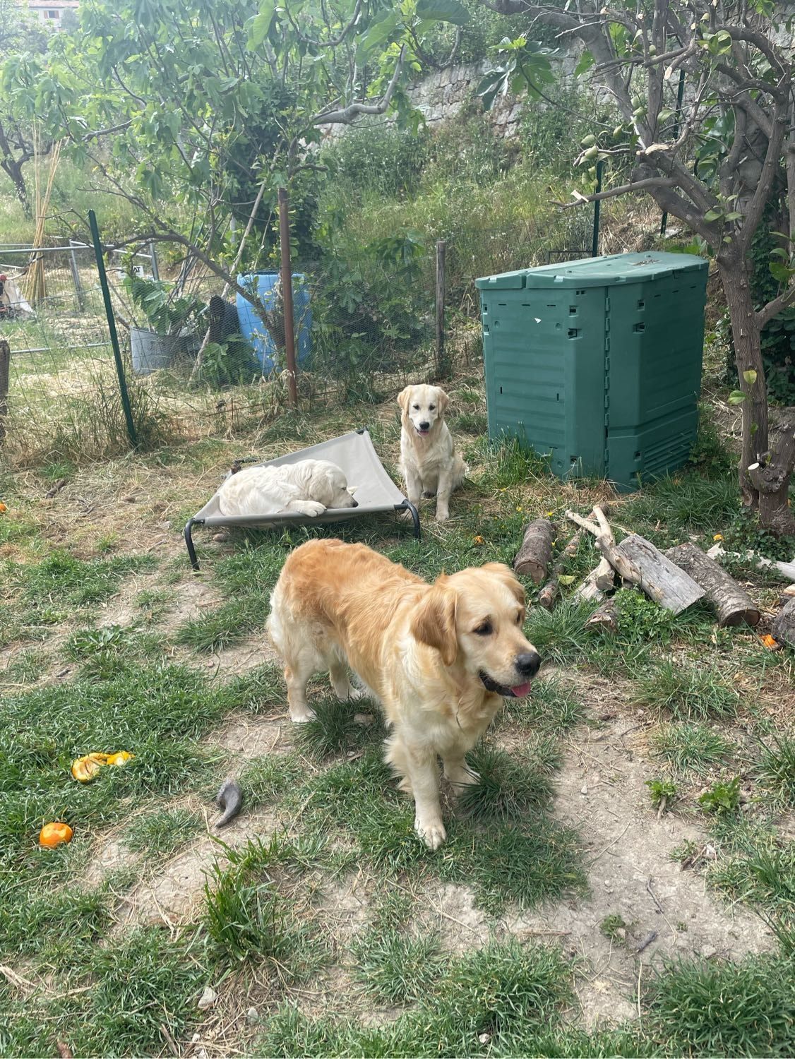 image-3