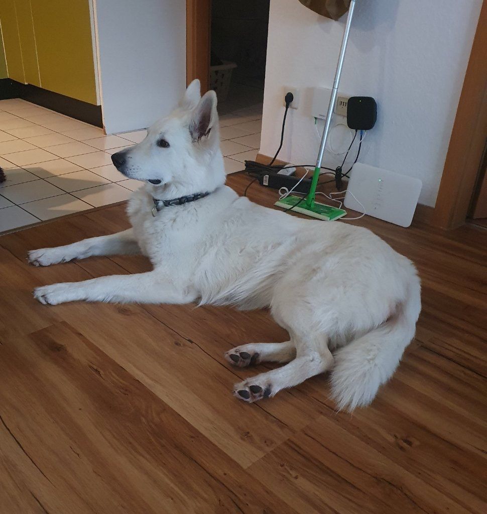 image-10