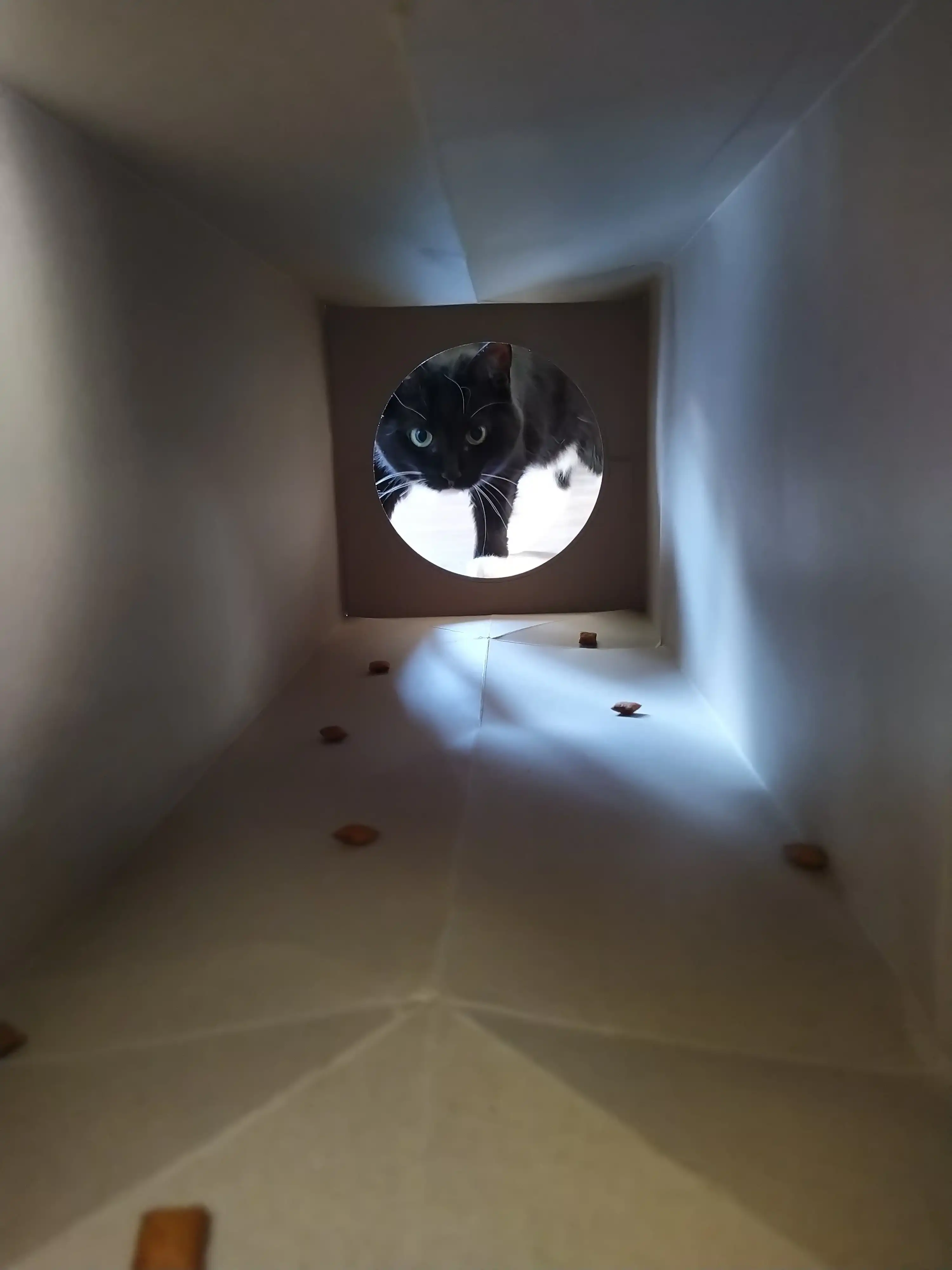 image-8