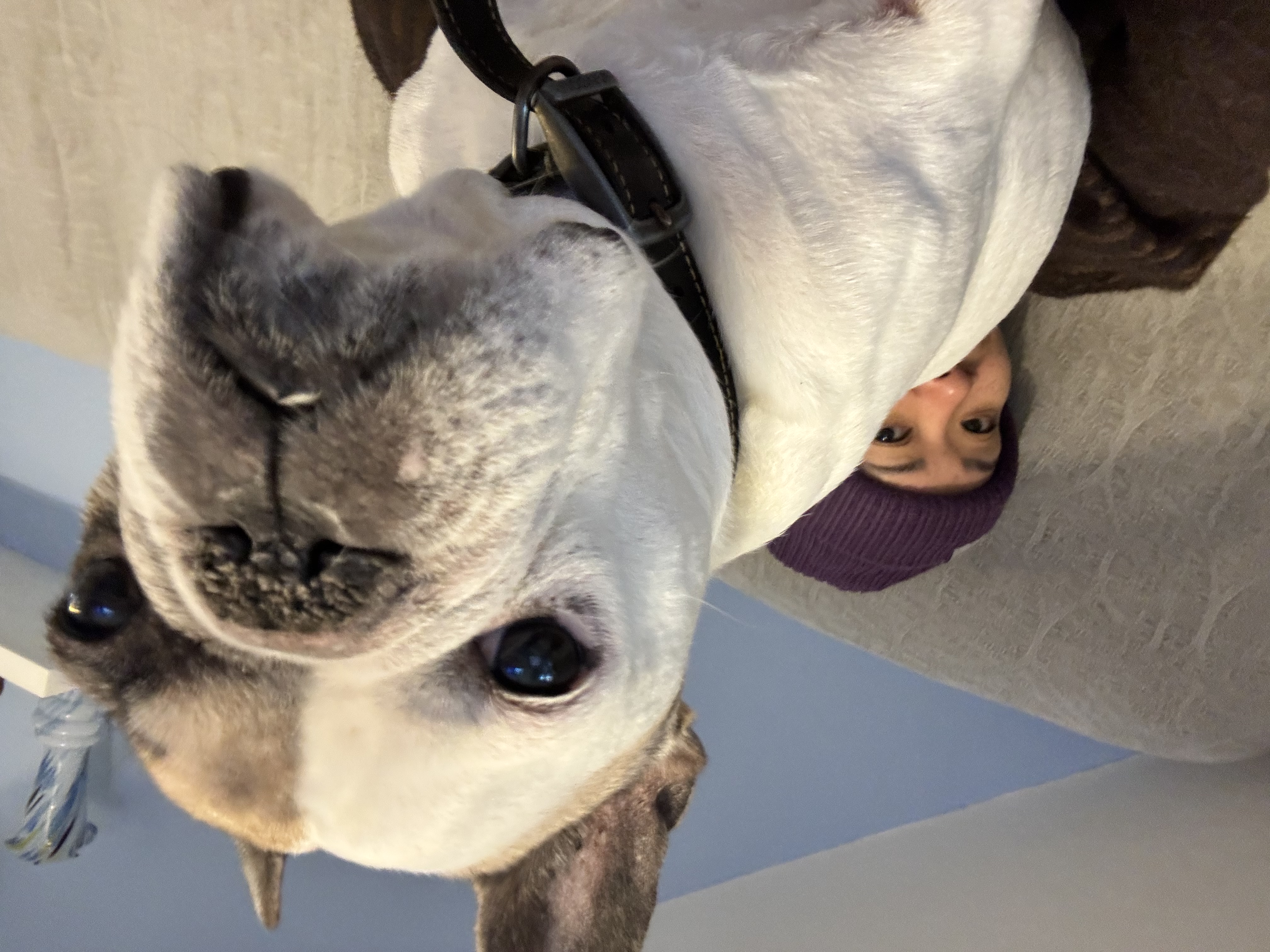 image-14