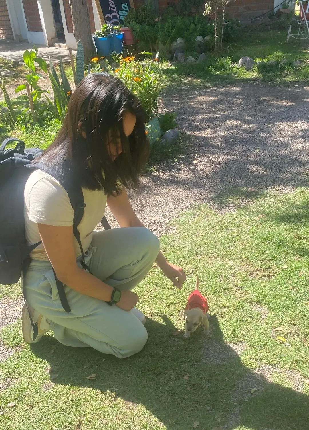 image-3