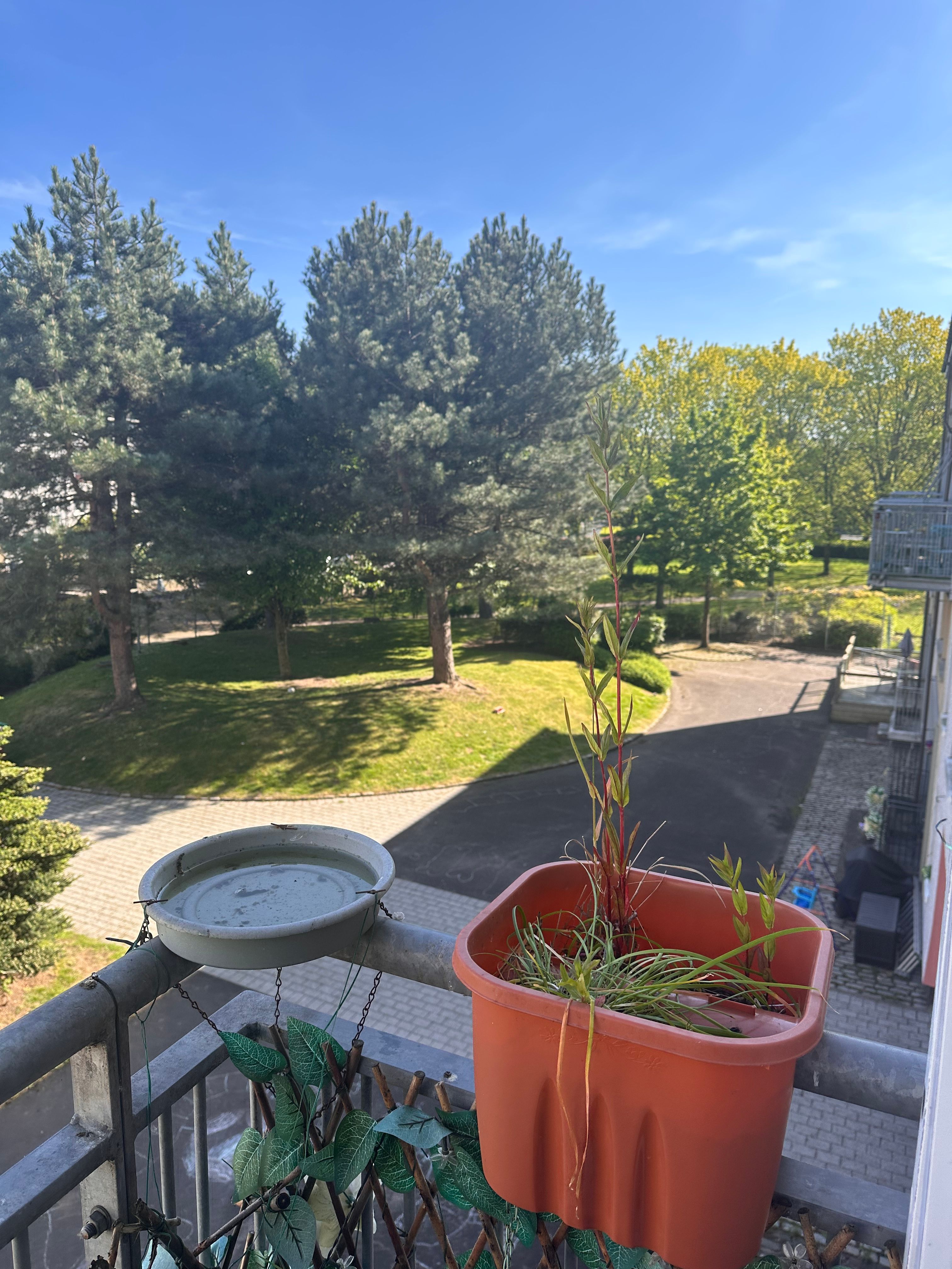 image-14