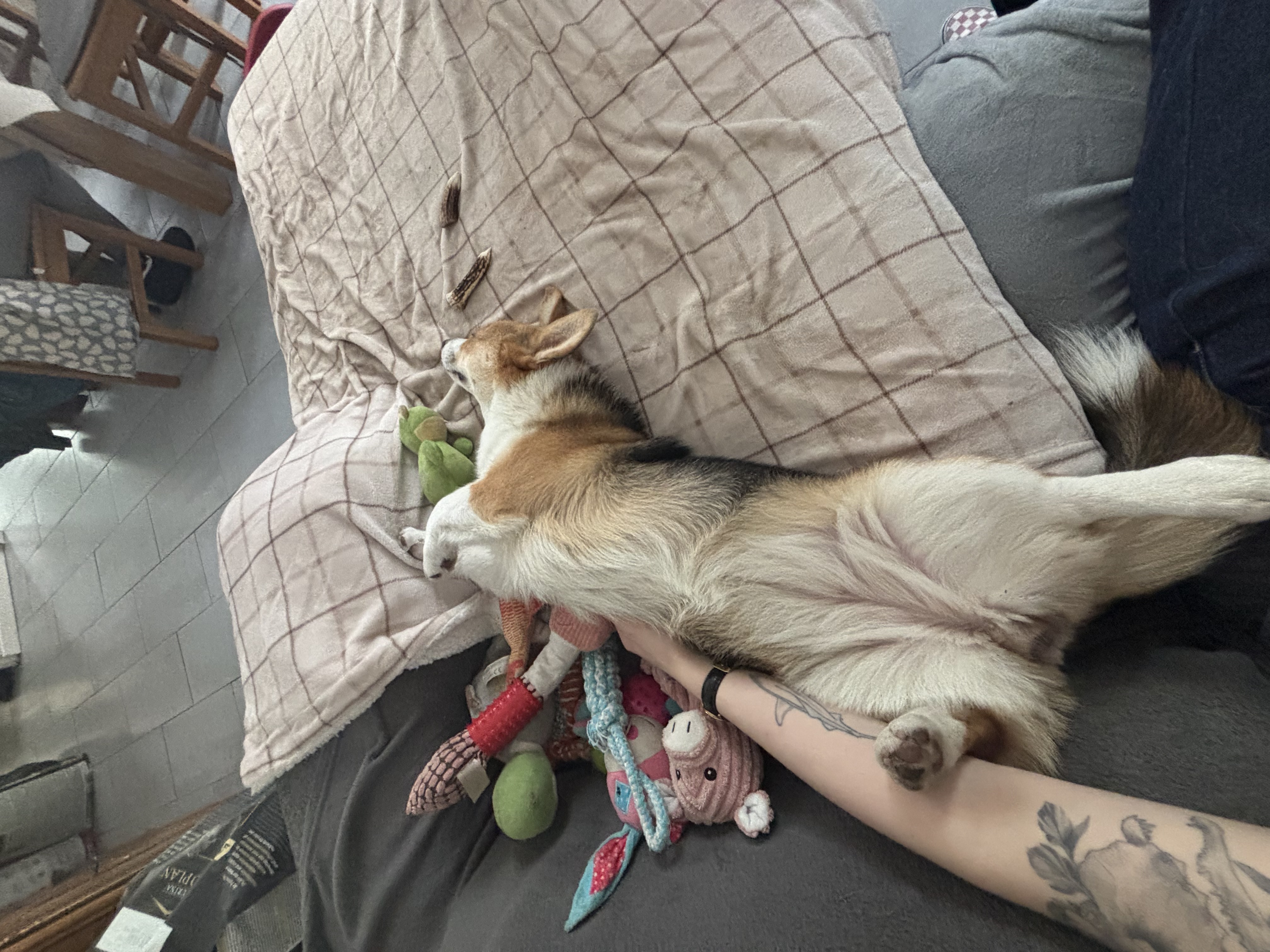 image-7