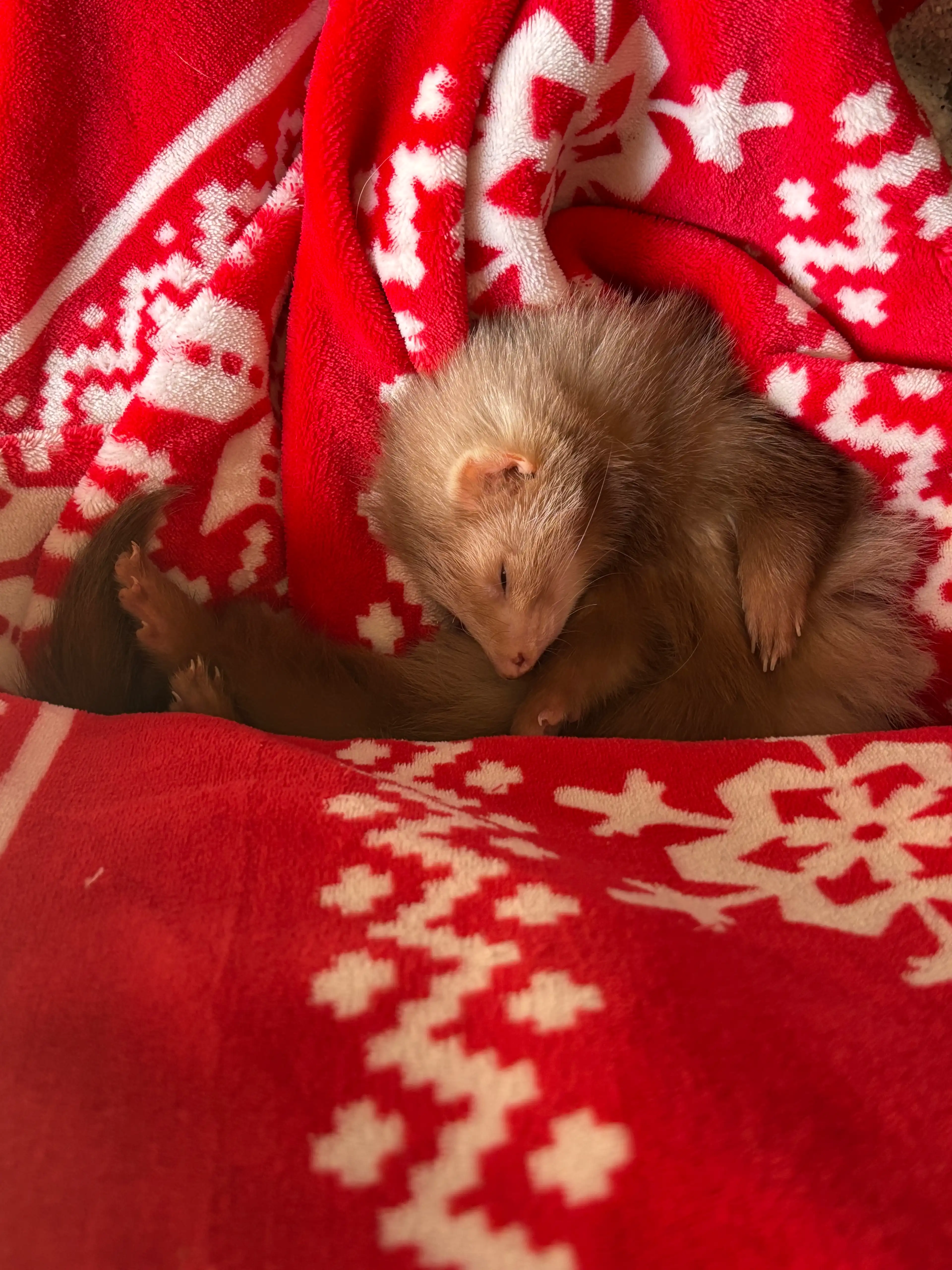 image-6