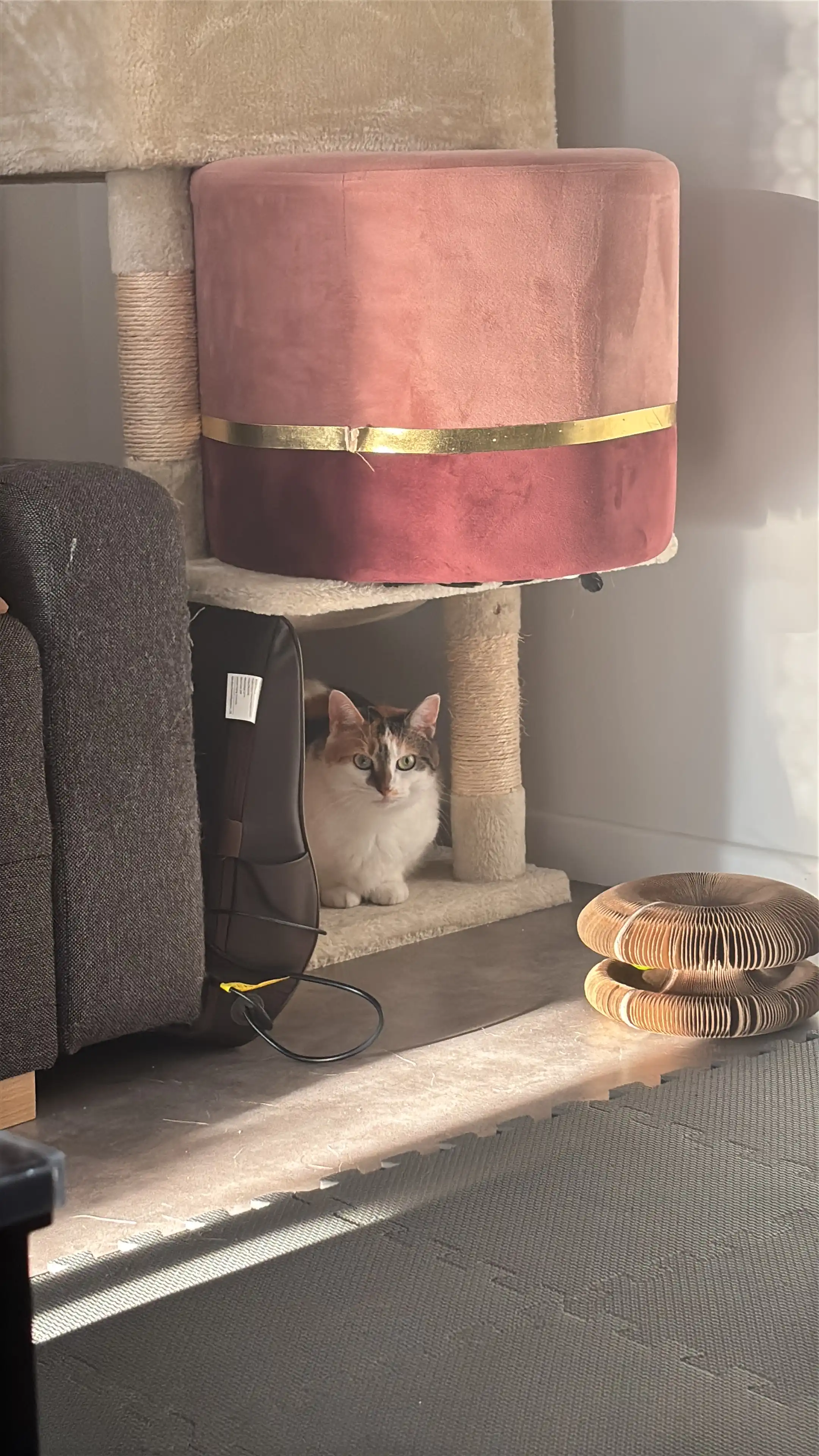 image-14