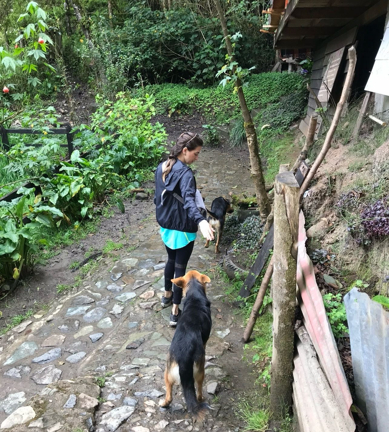 image-10