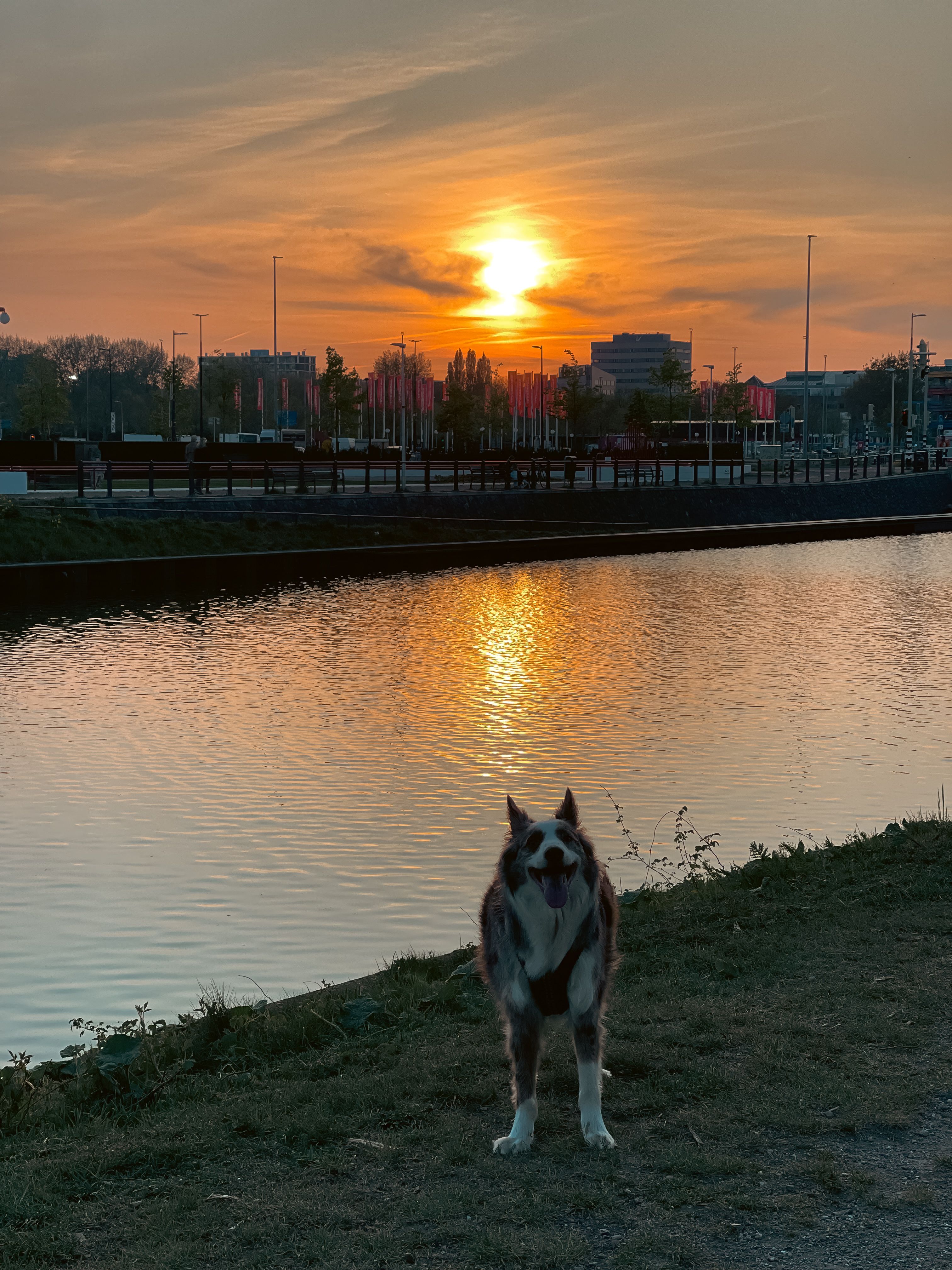 image-15