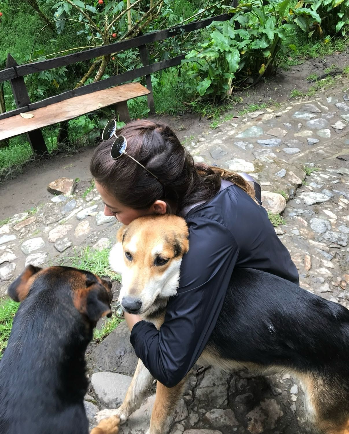 image-11