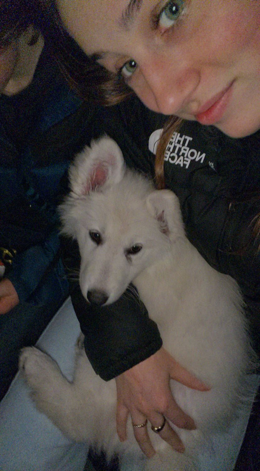 image-8