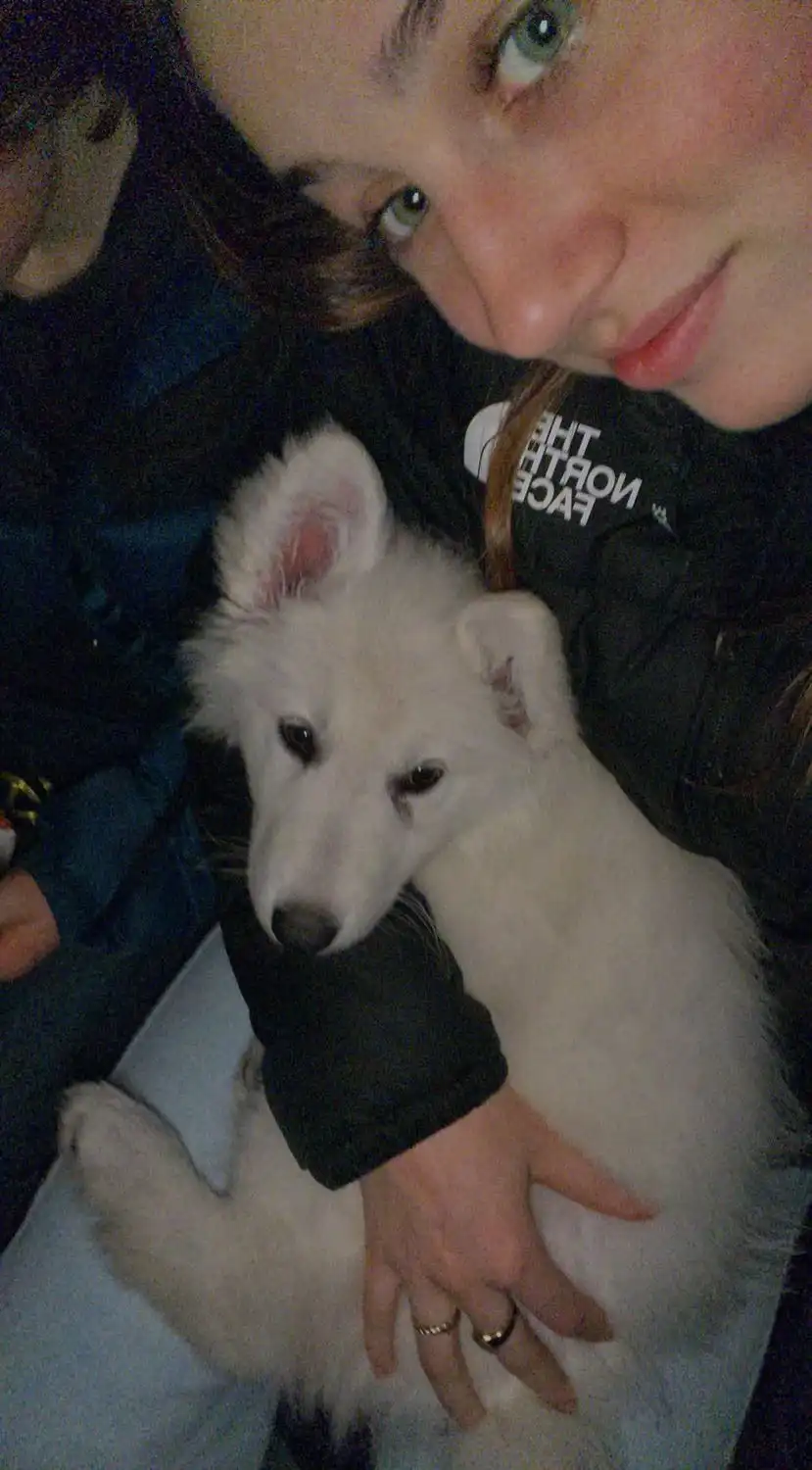 image-8