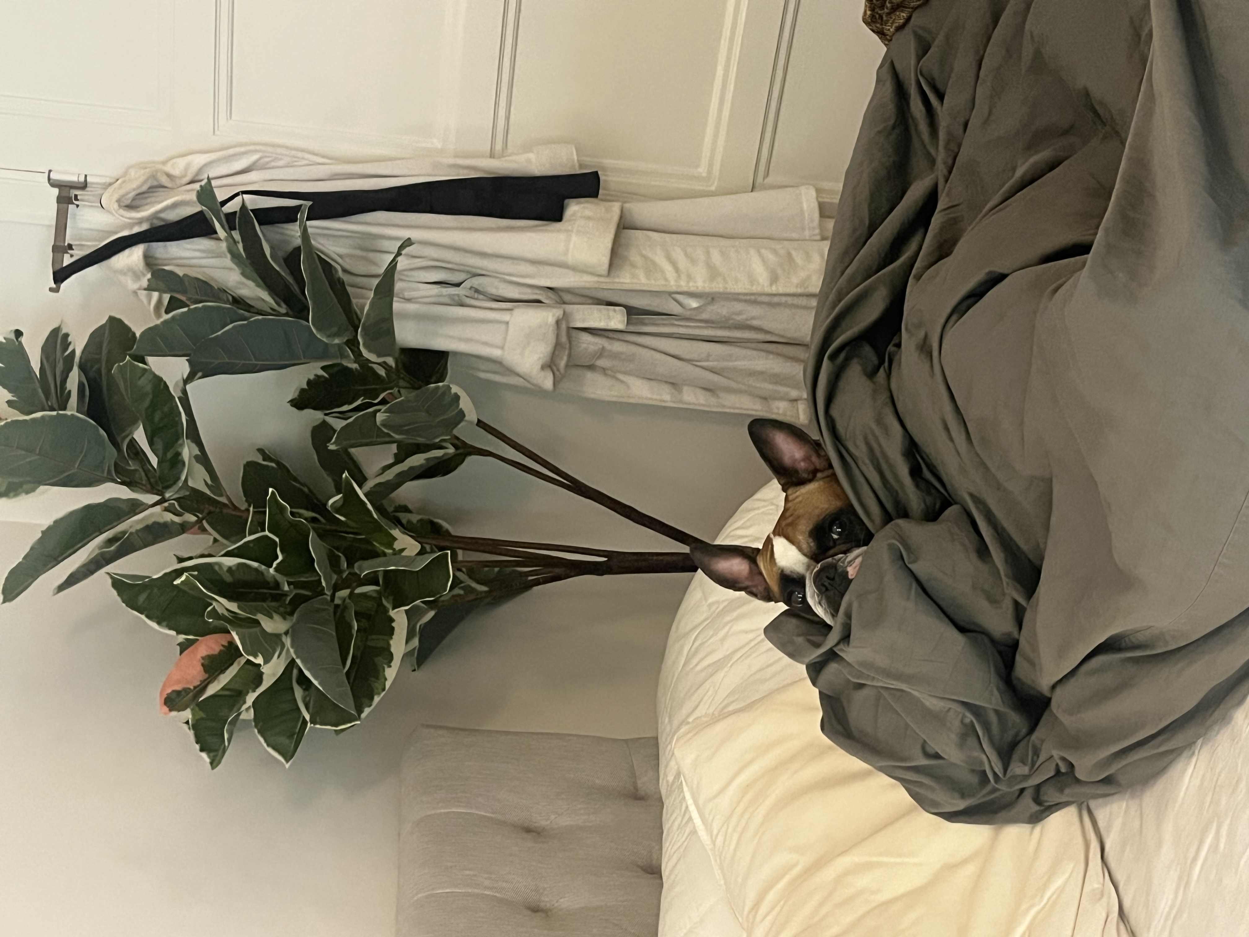 image-13