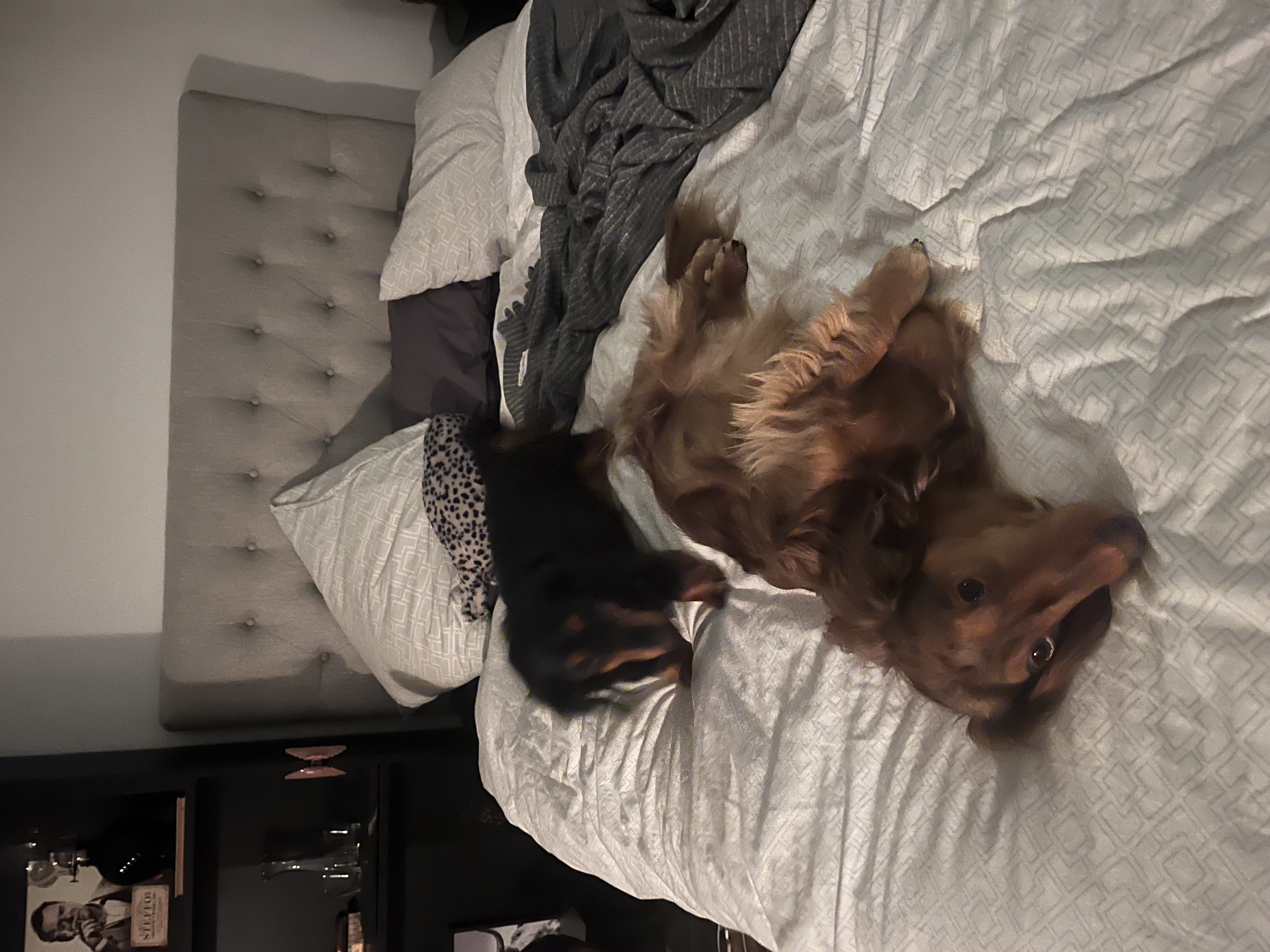 image-10