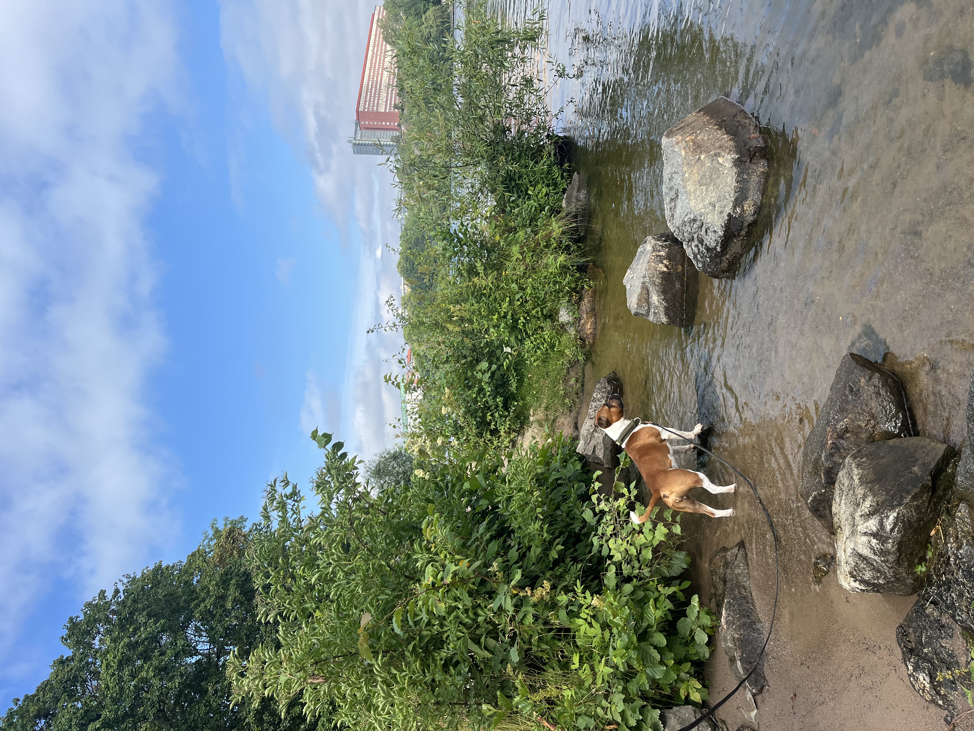 image-11