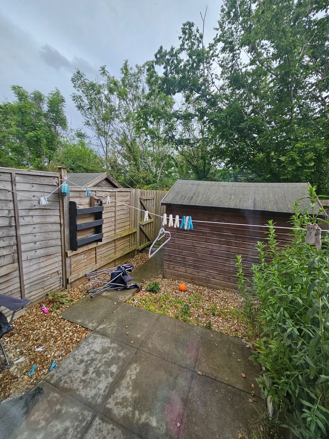 image-16