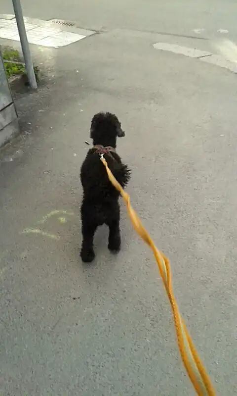 image-9