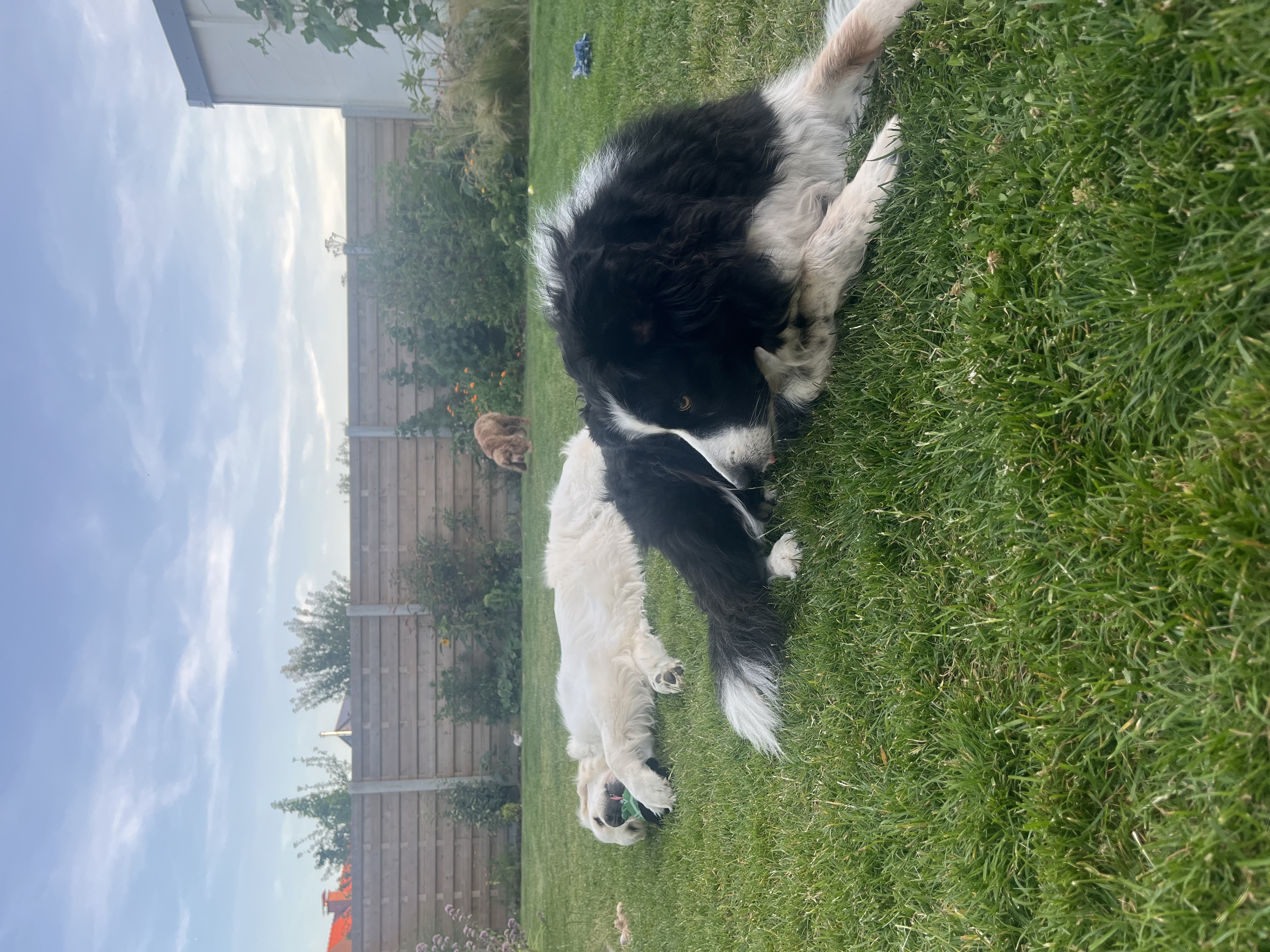 image-10