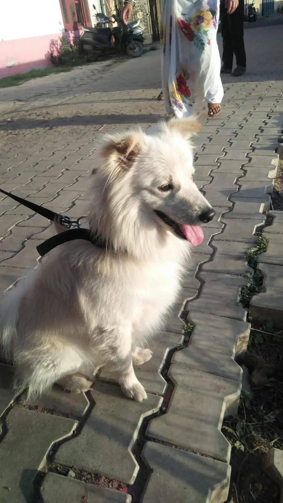 image-2