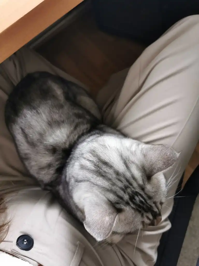 image-6