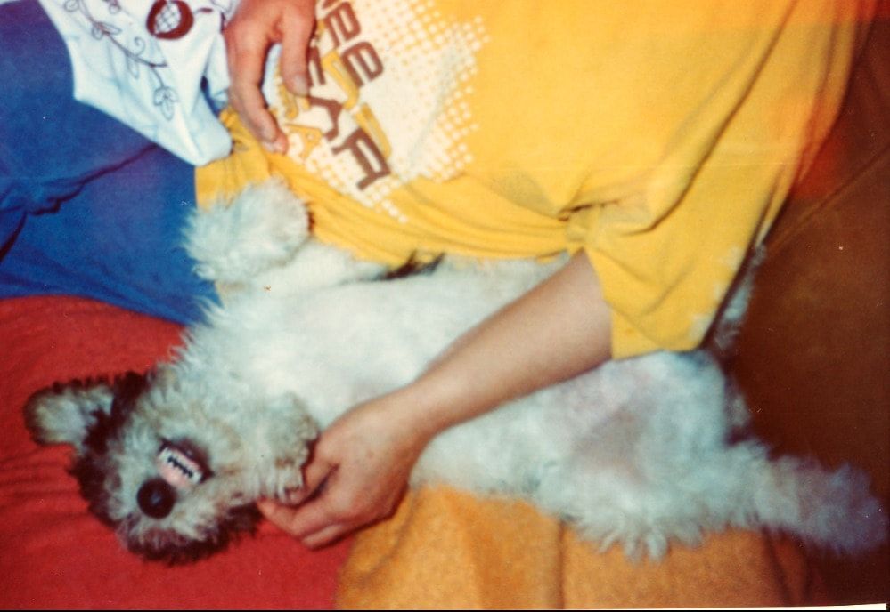image-20