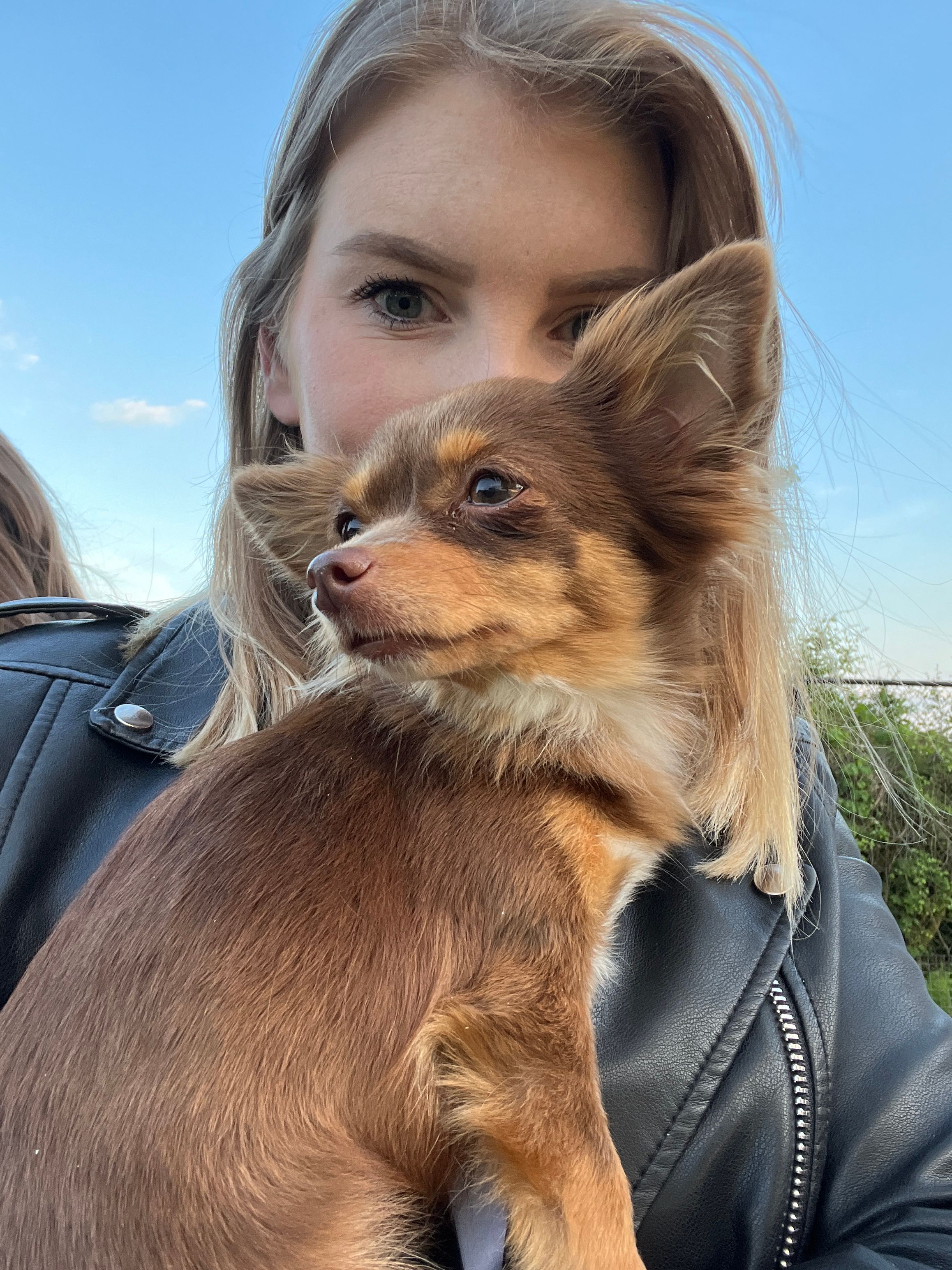 image-6