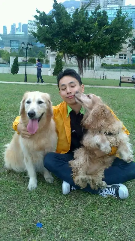 image-5