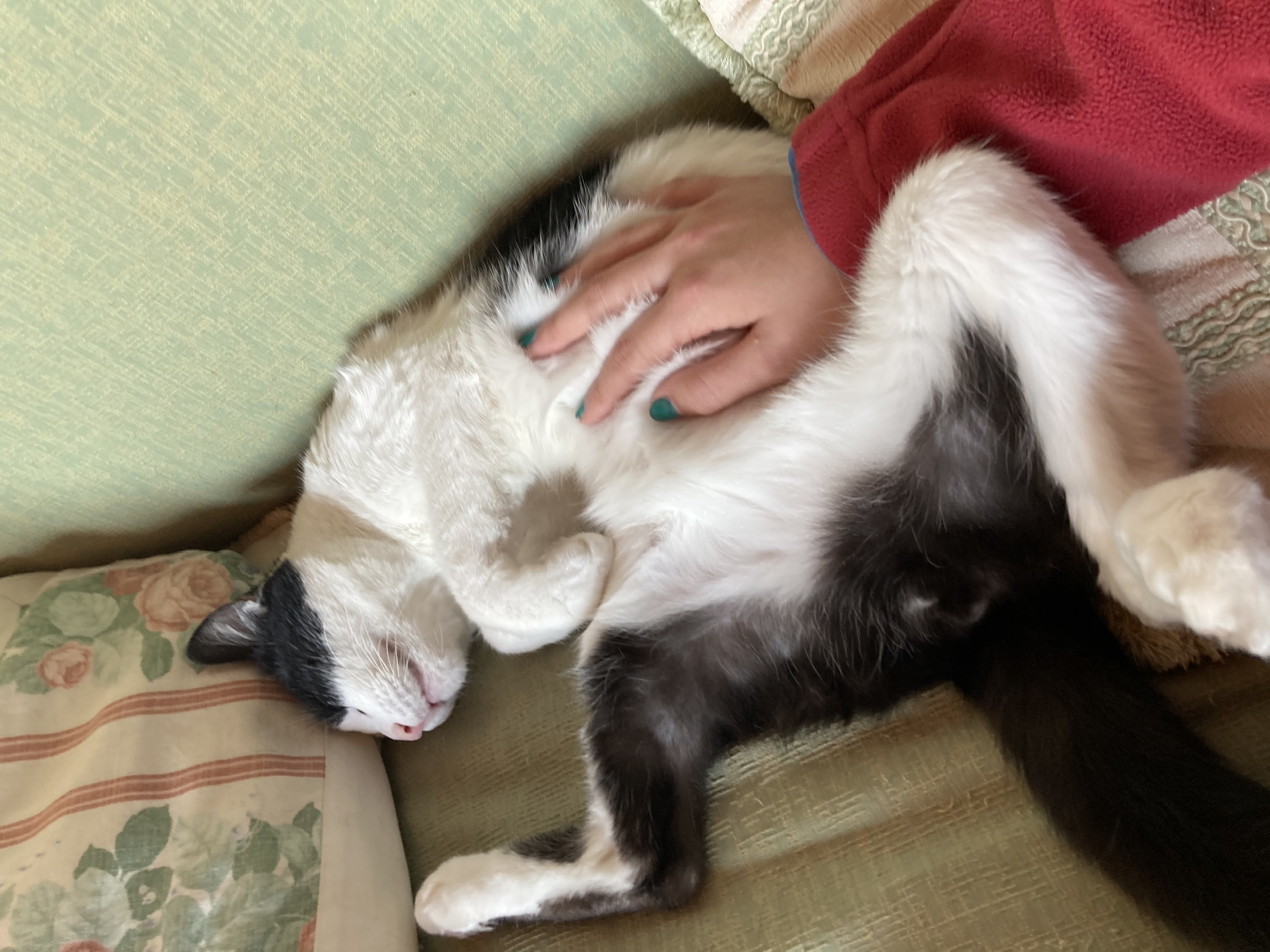 image-8