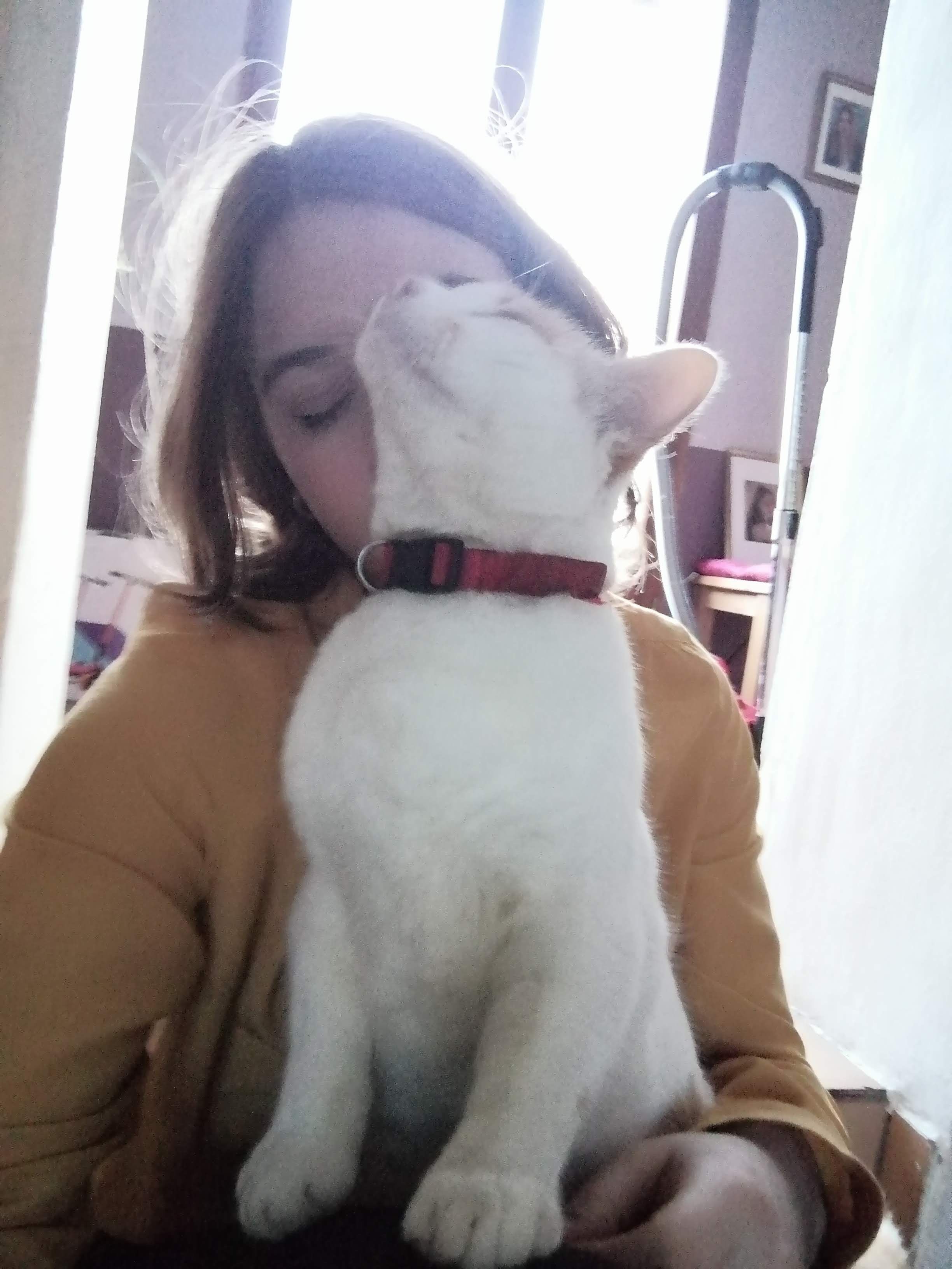 image-5