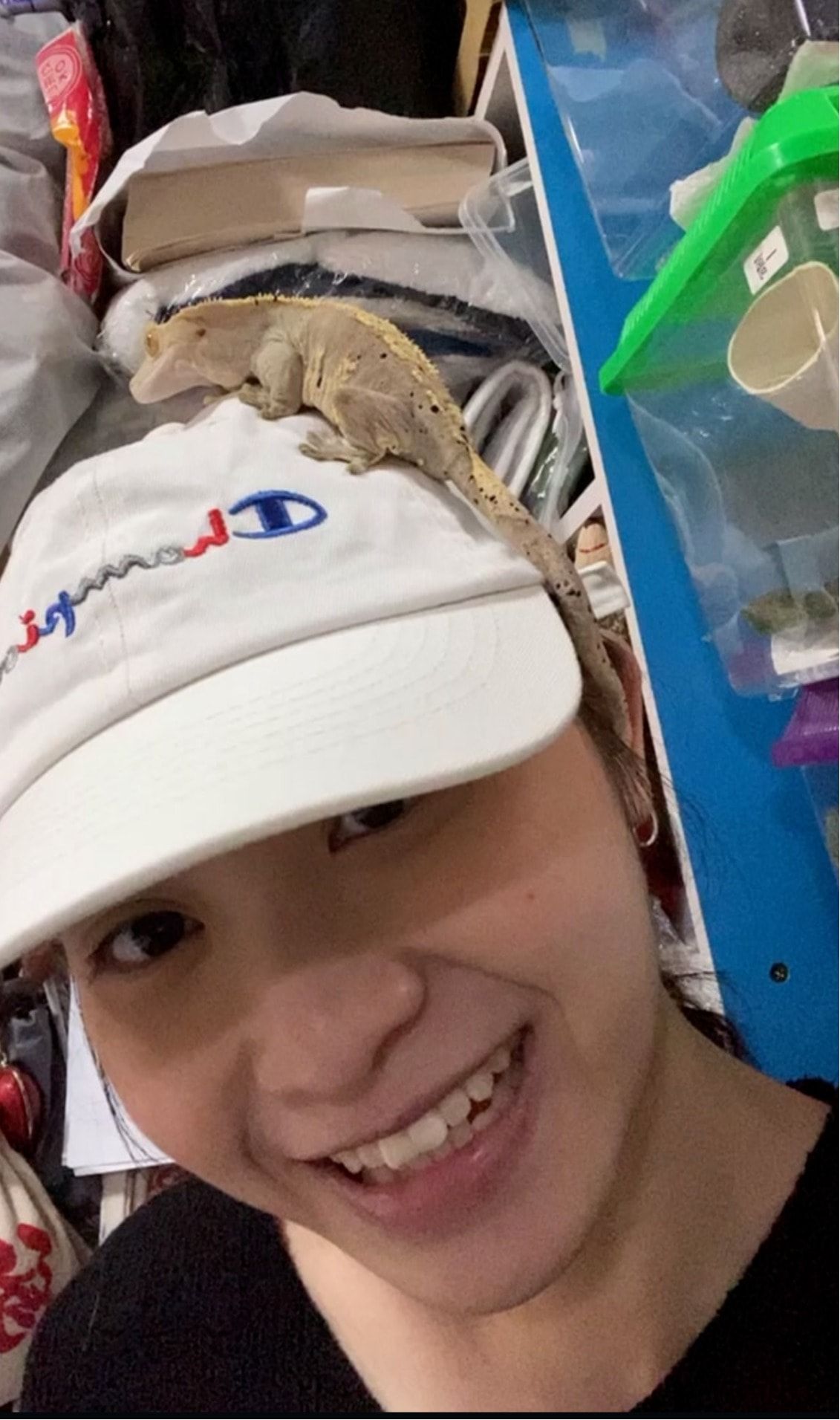 image-7