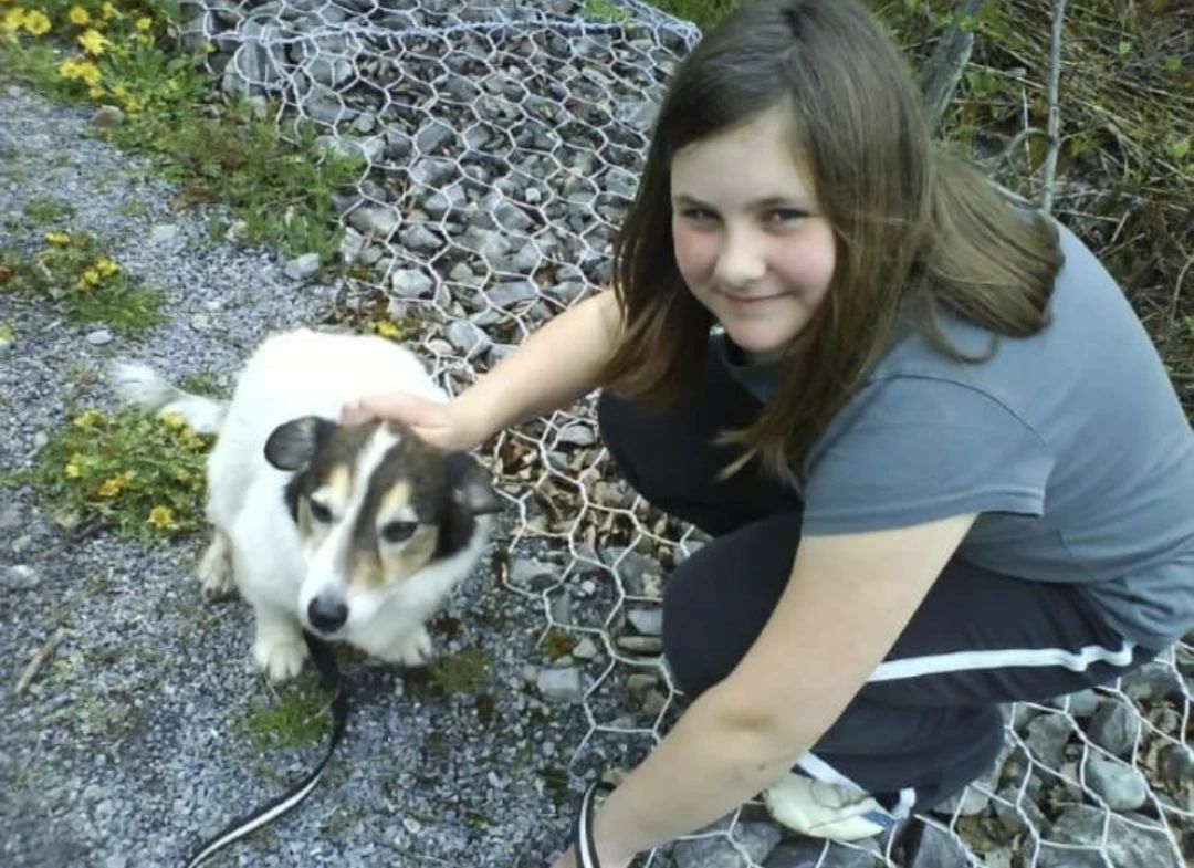 image-8