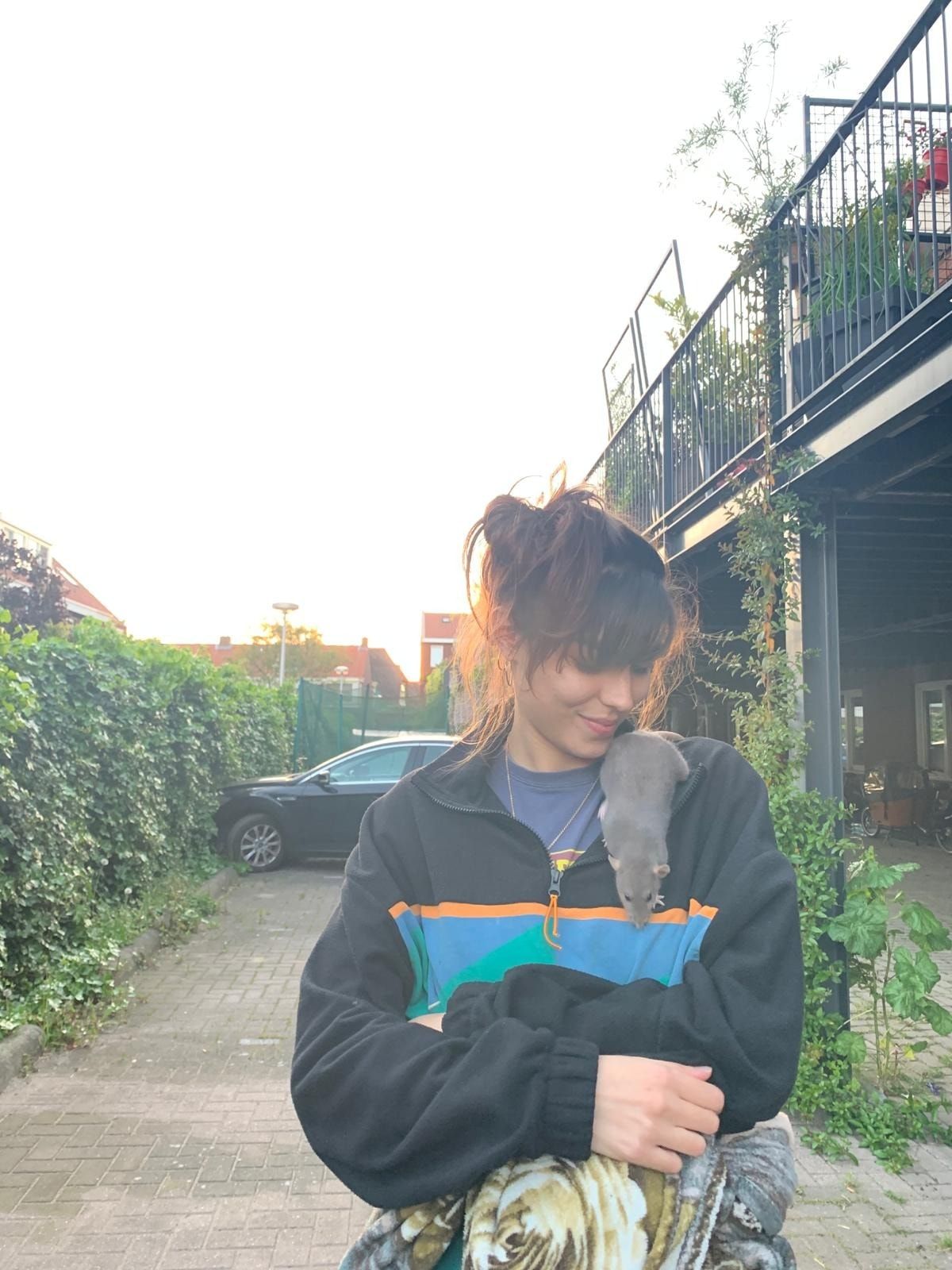 image-5