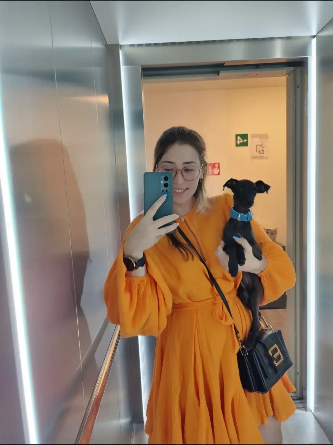 image-7