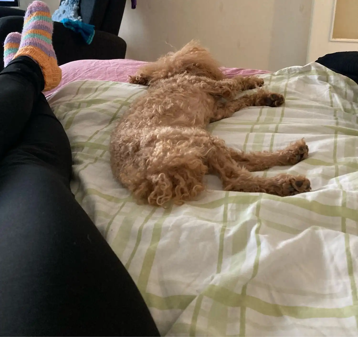 image-7