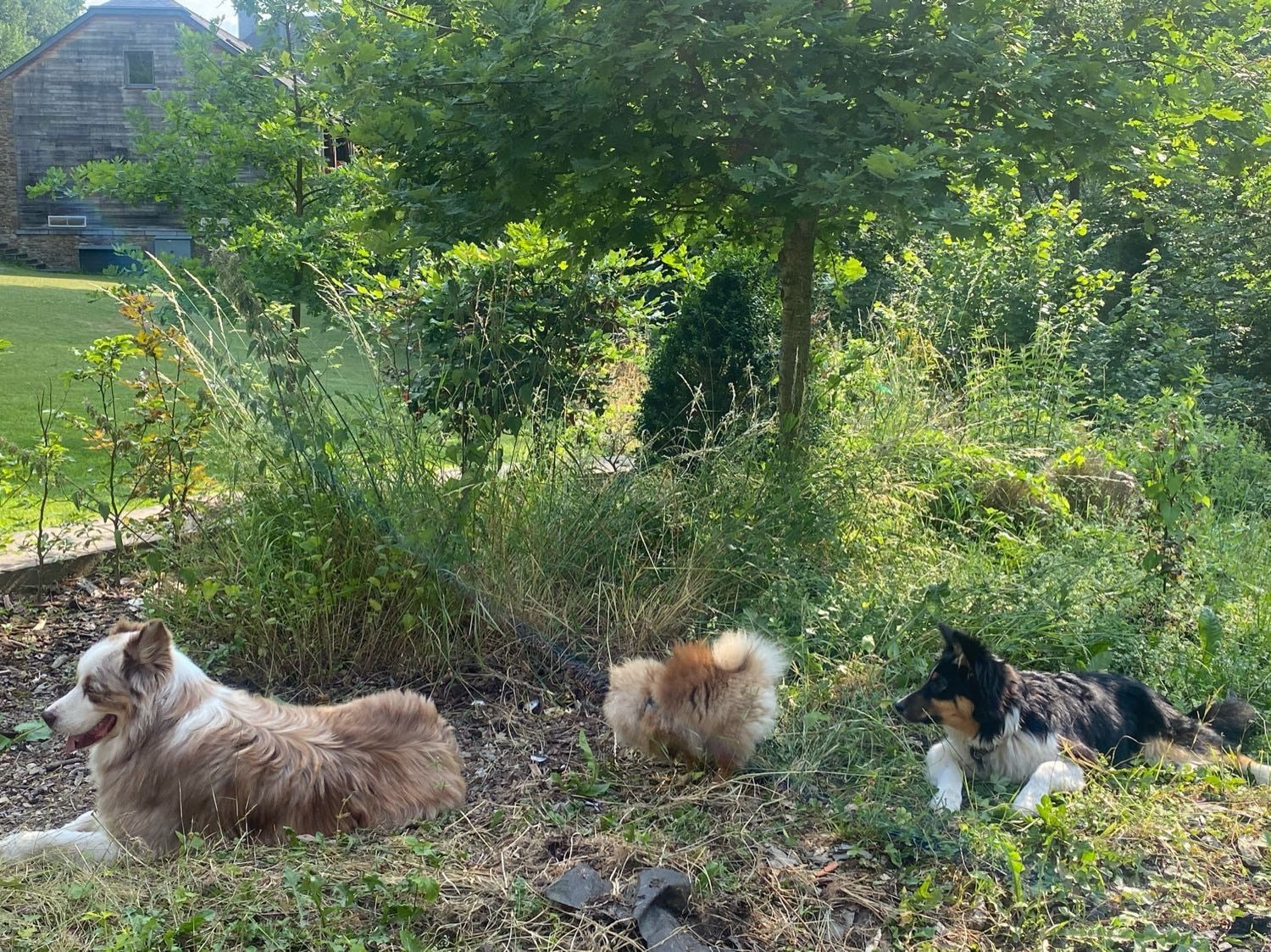 image-9