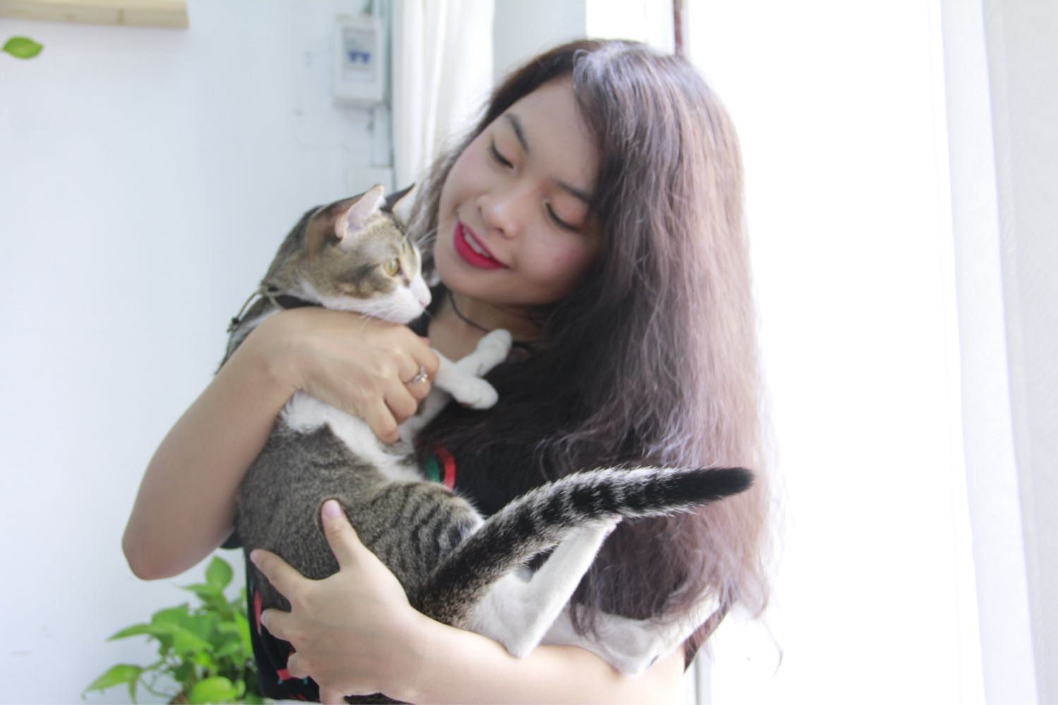 image-8