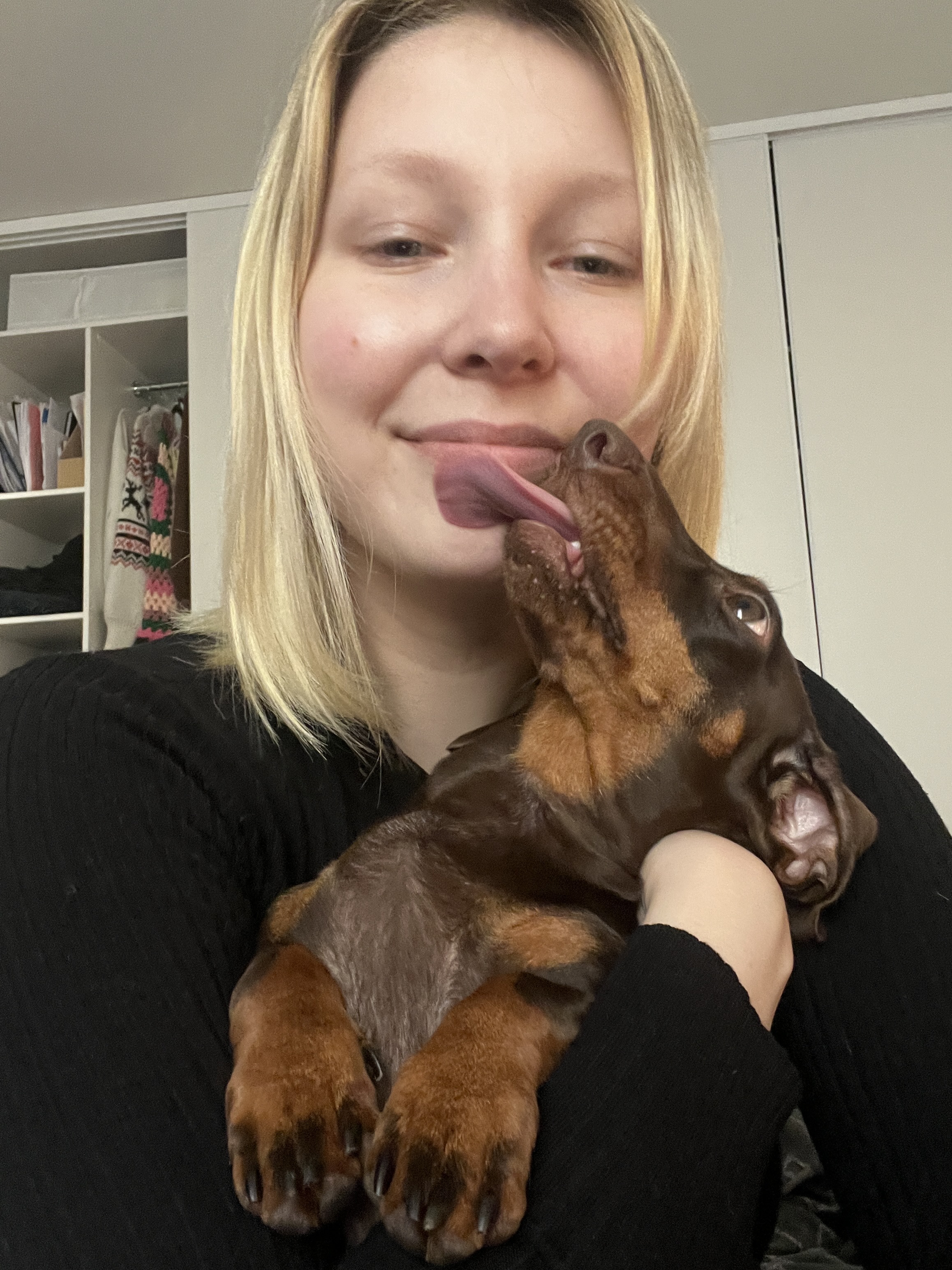 image-8