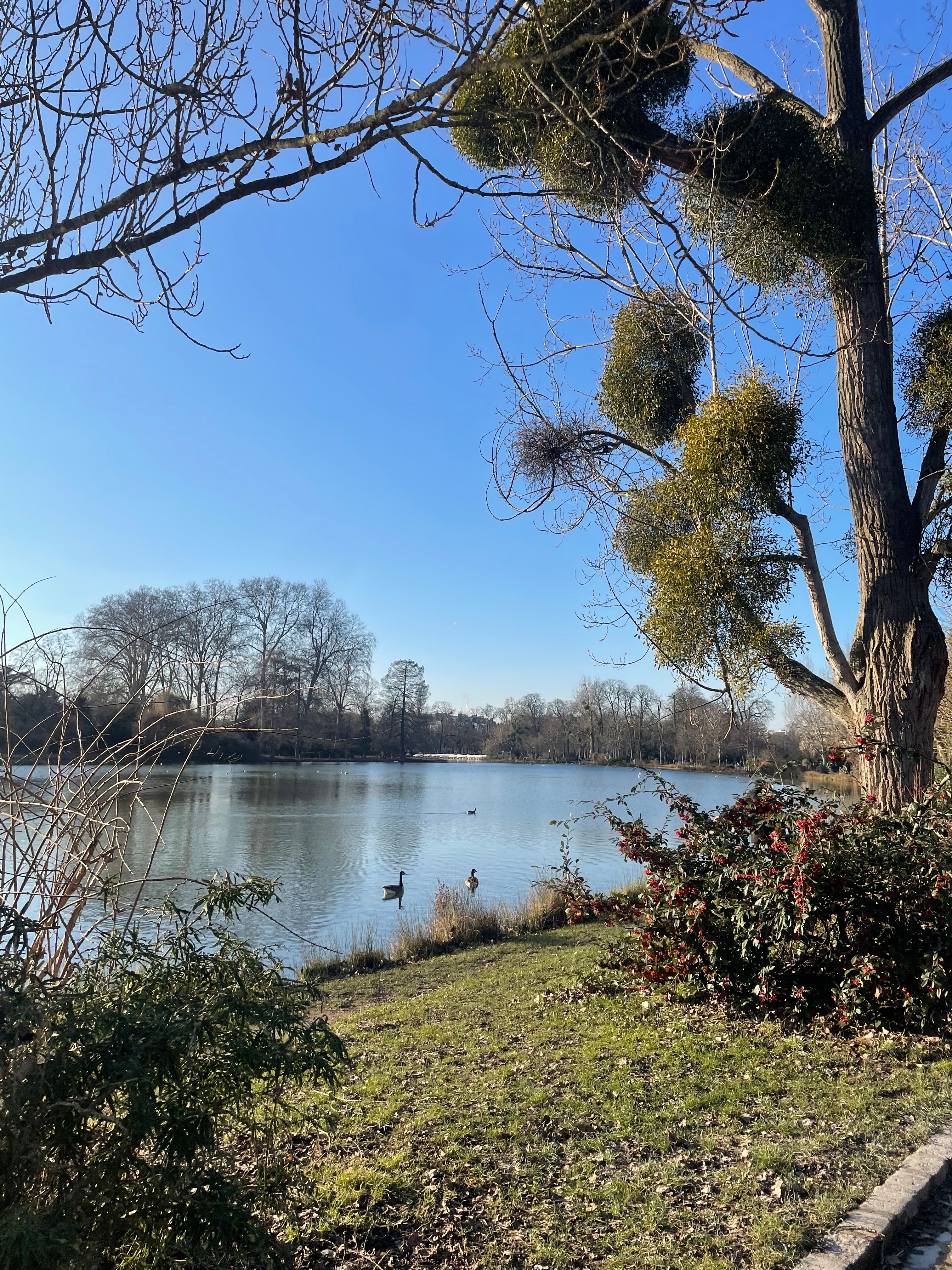 image-14