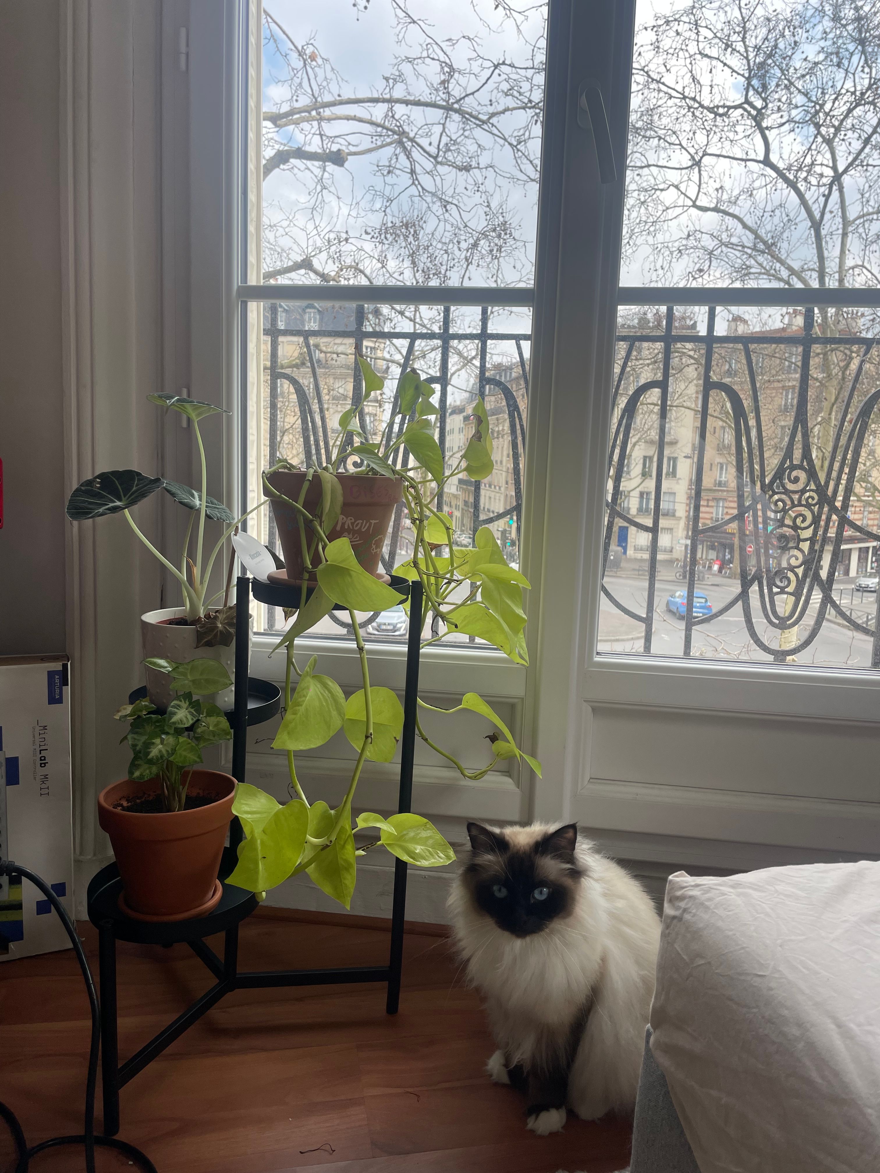 image-15