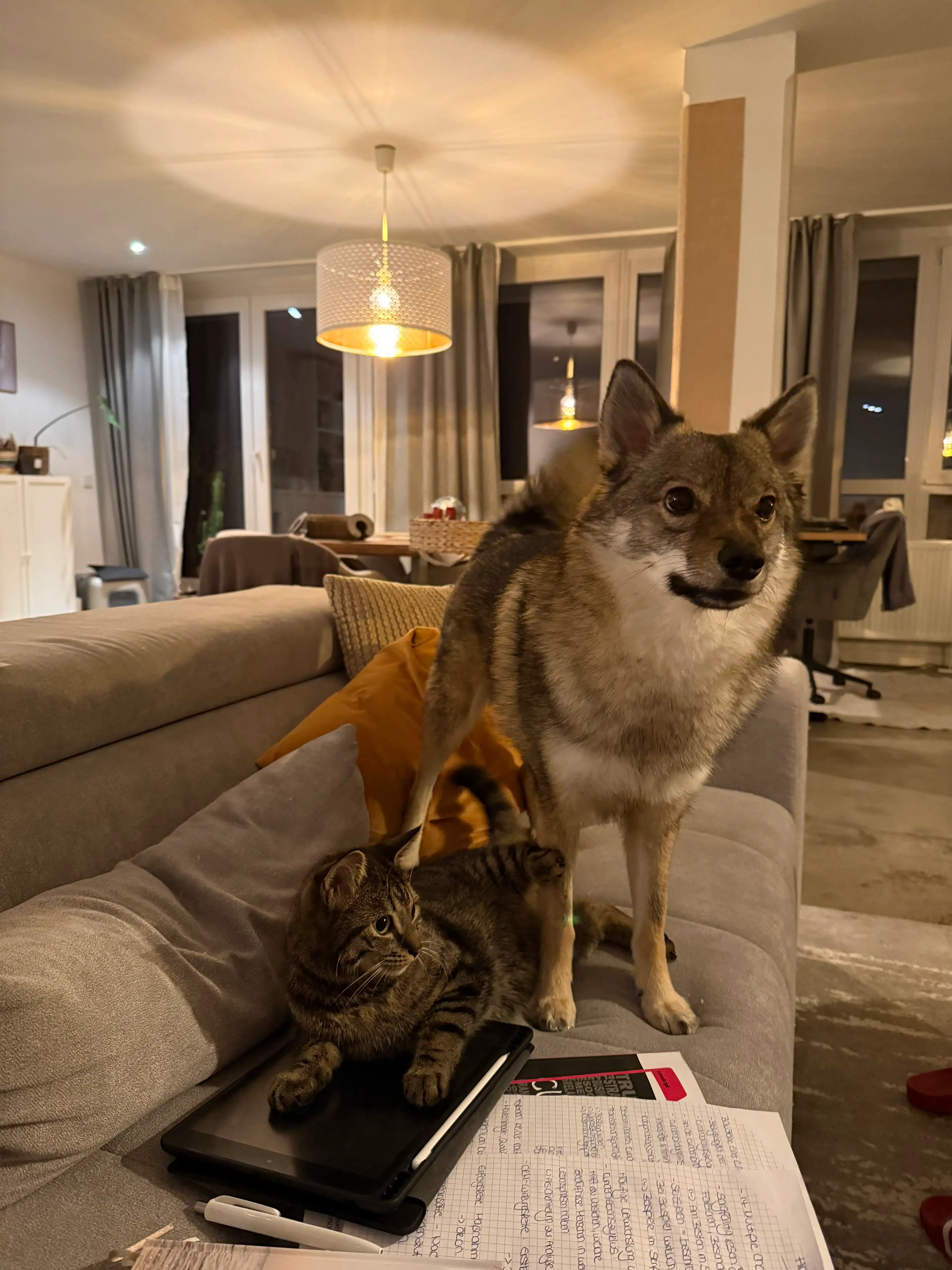 image-10