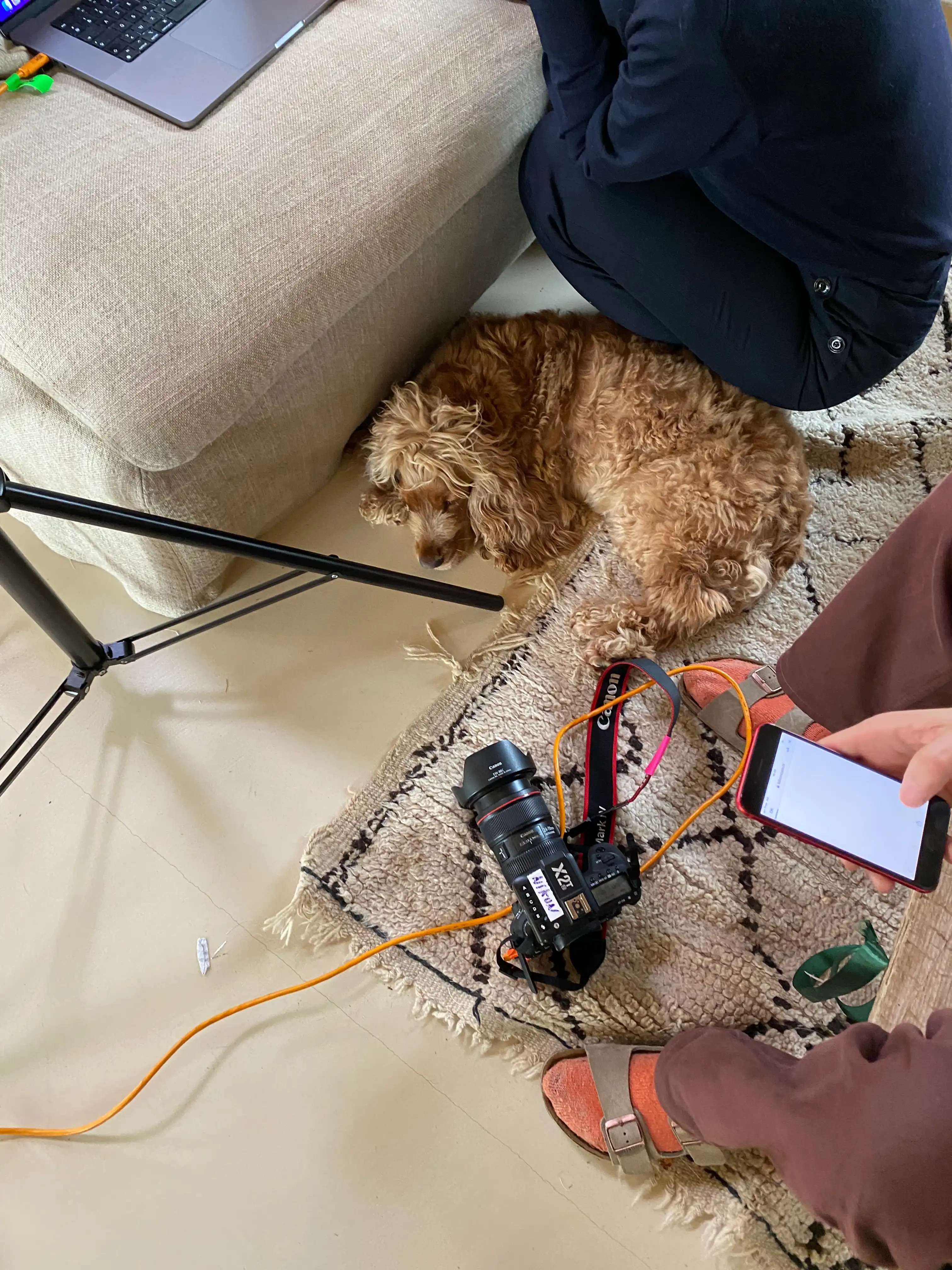 image-7