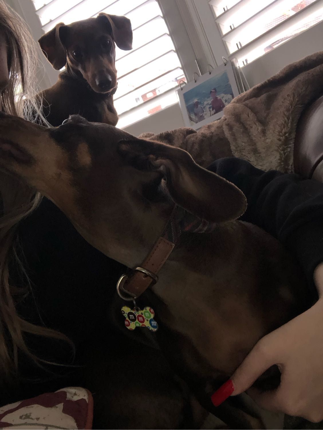image-6