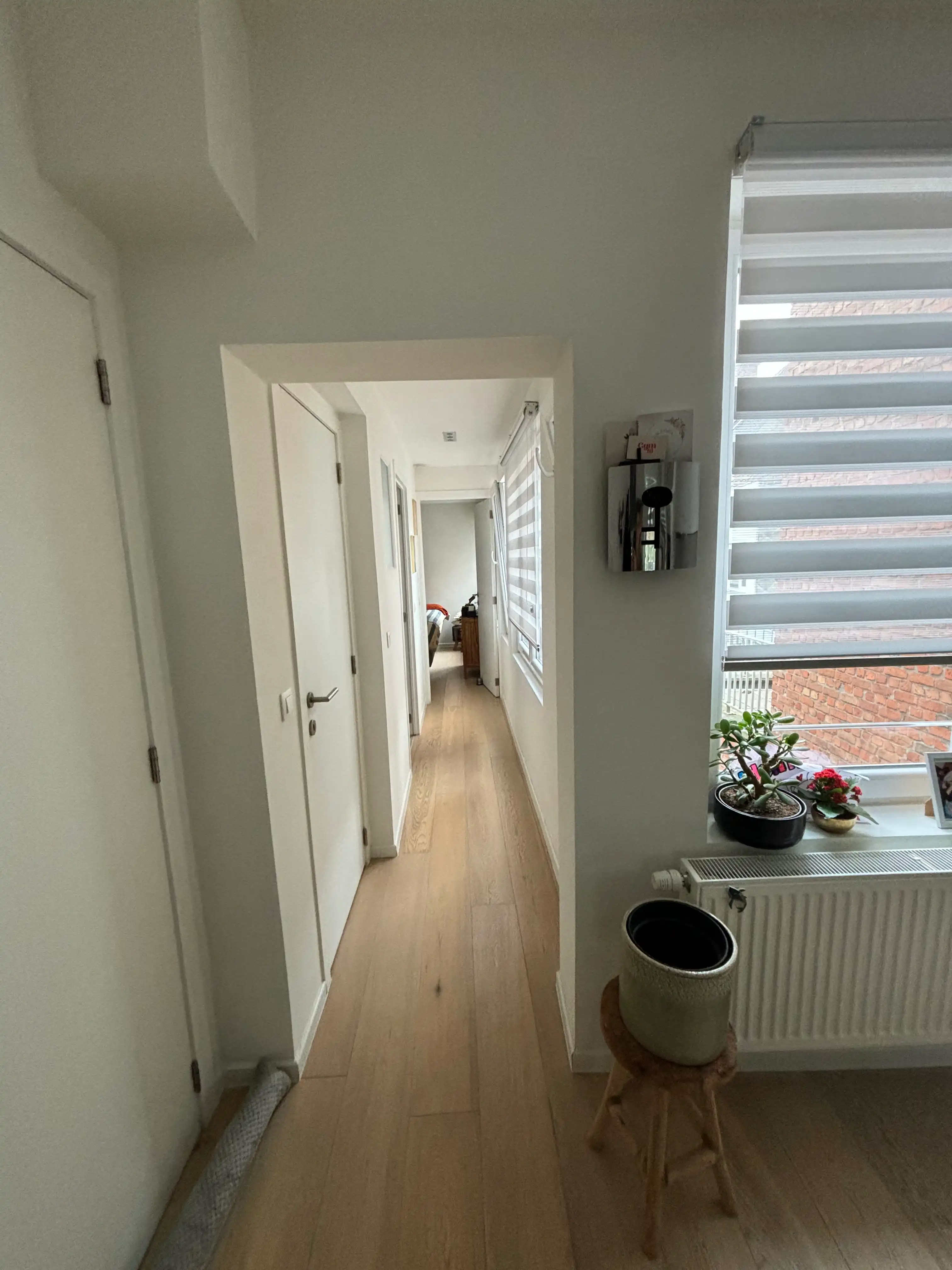 image-19