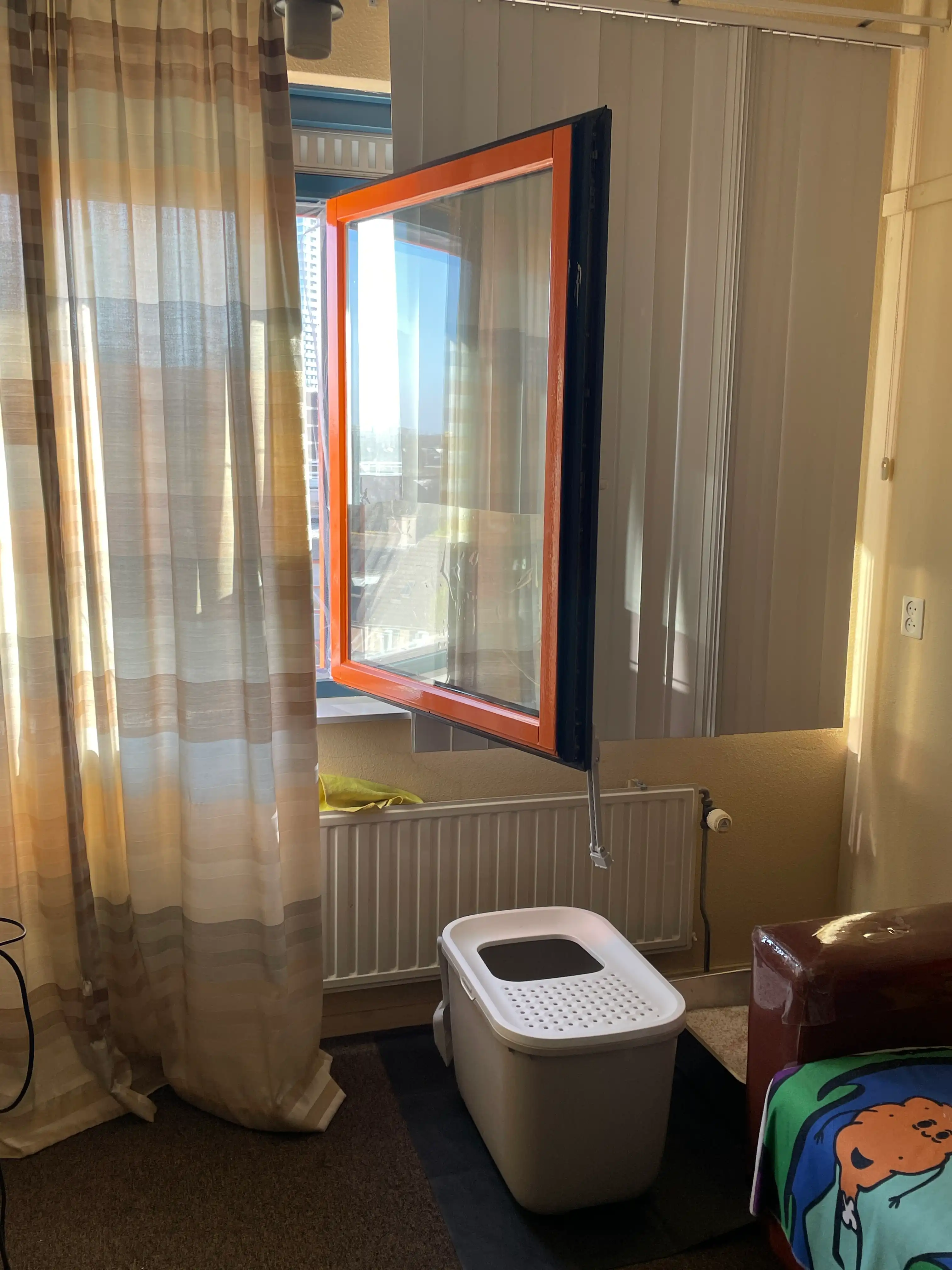 image-7