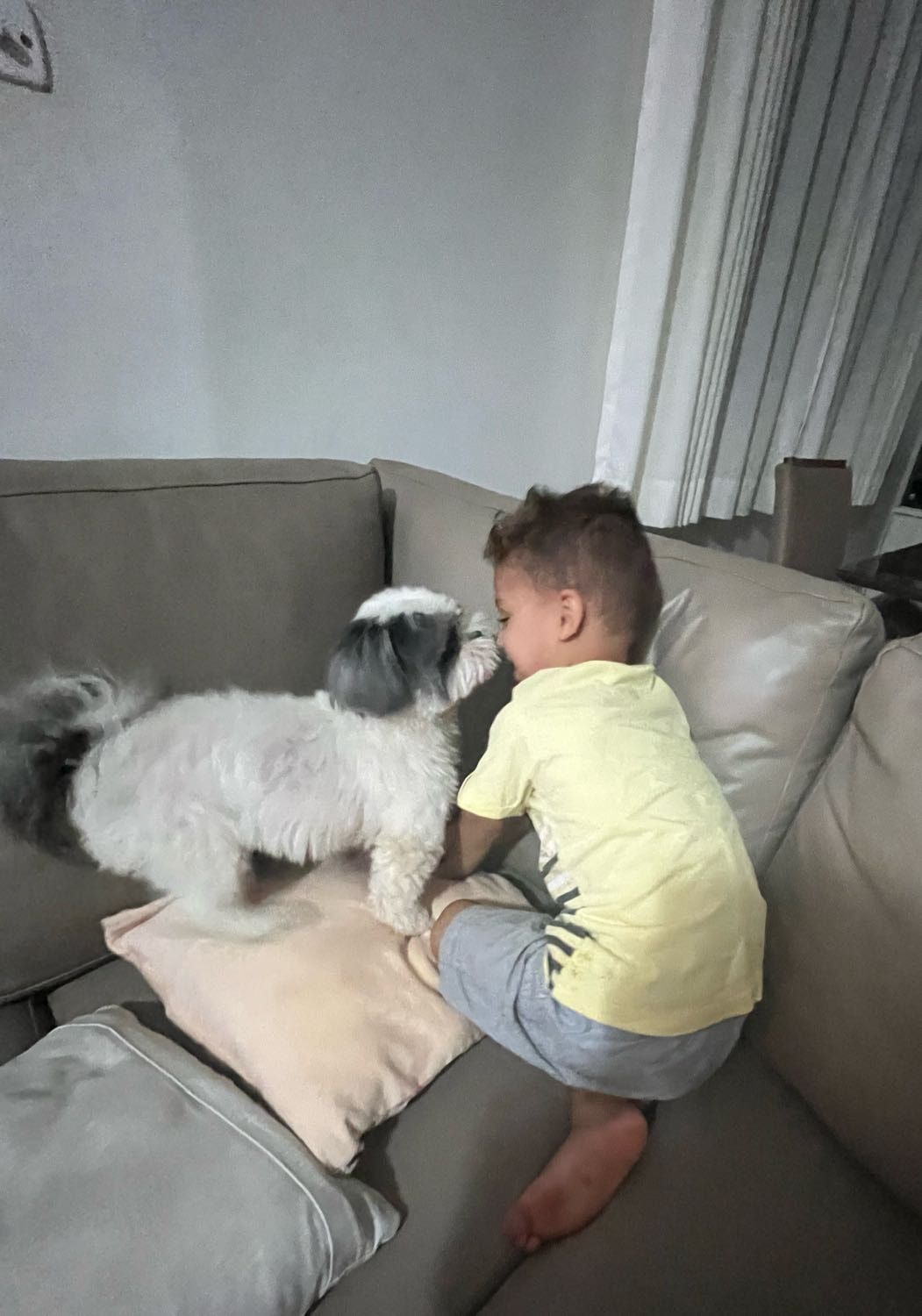 image-4