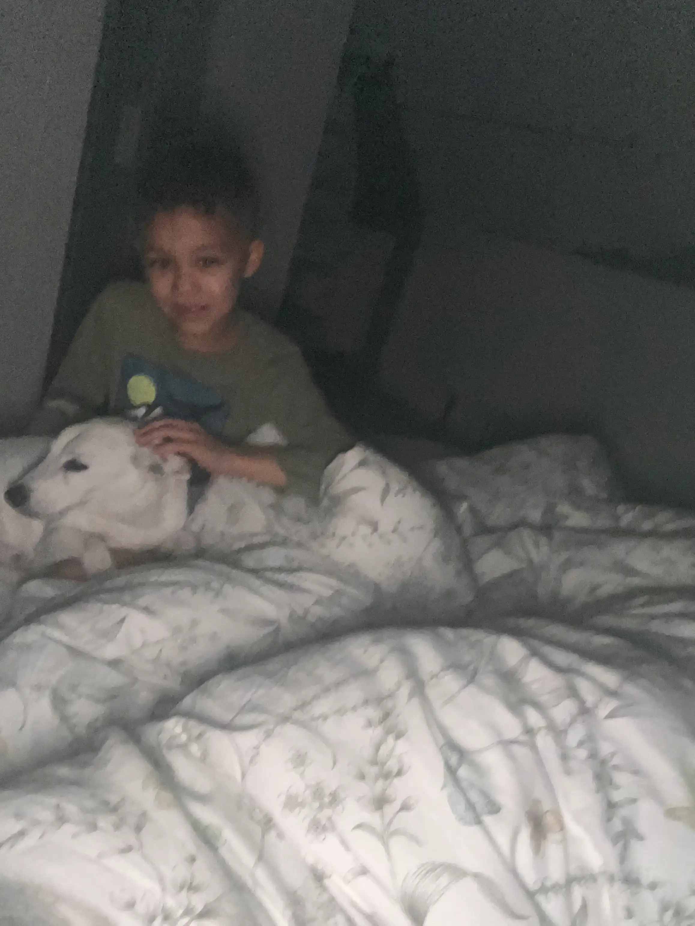 image-18