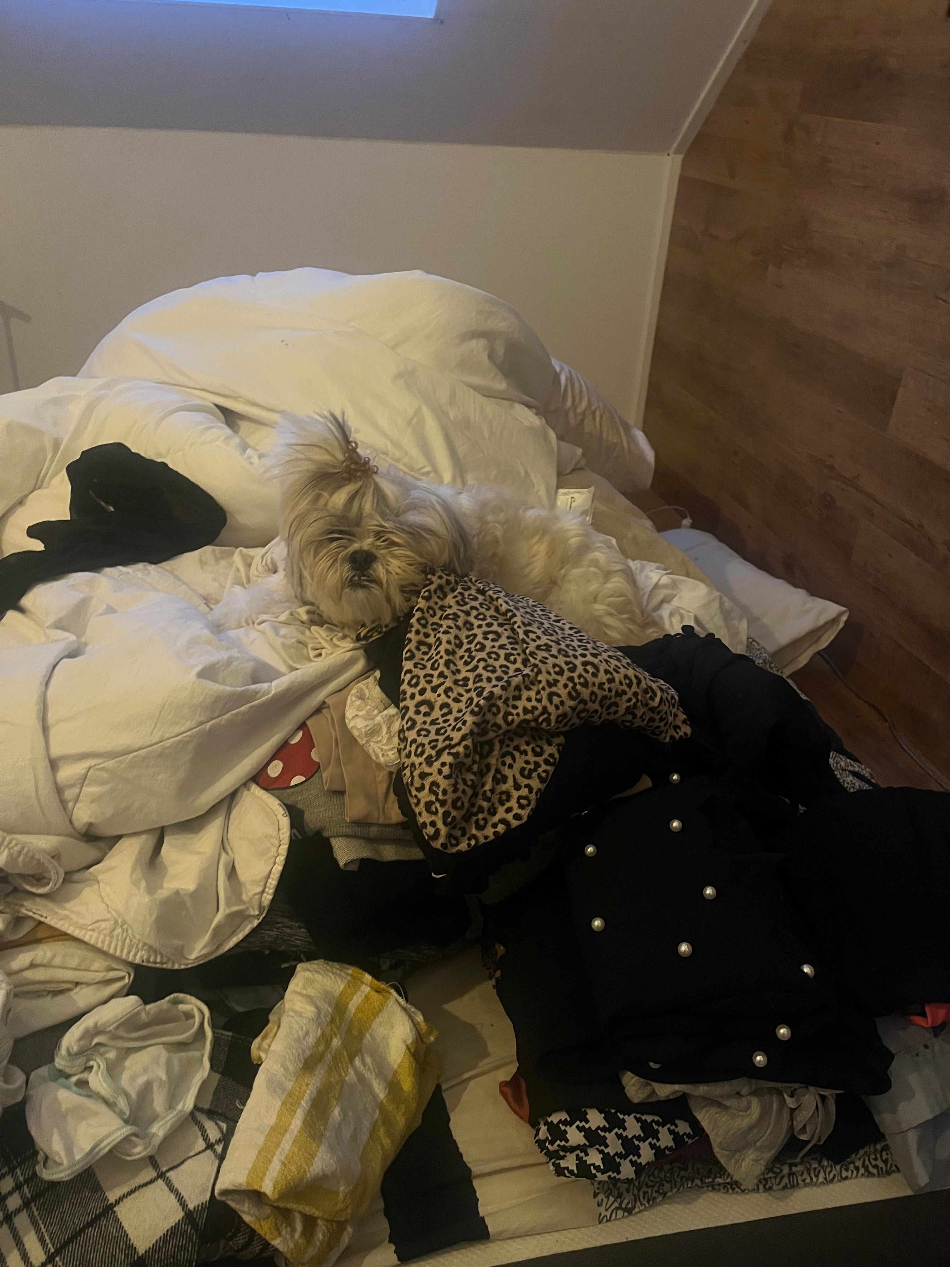 image-9