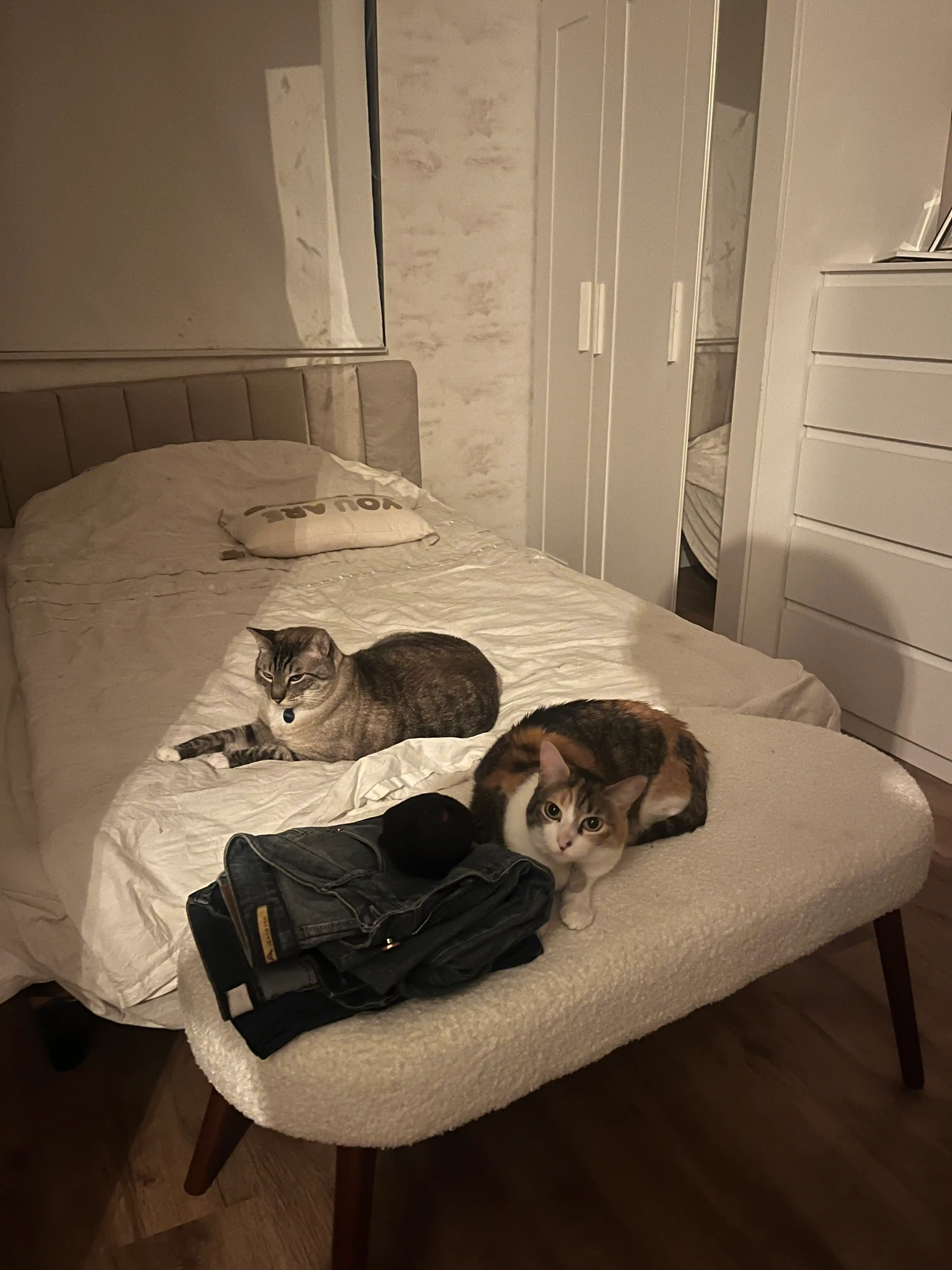 image-27