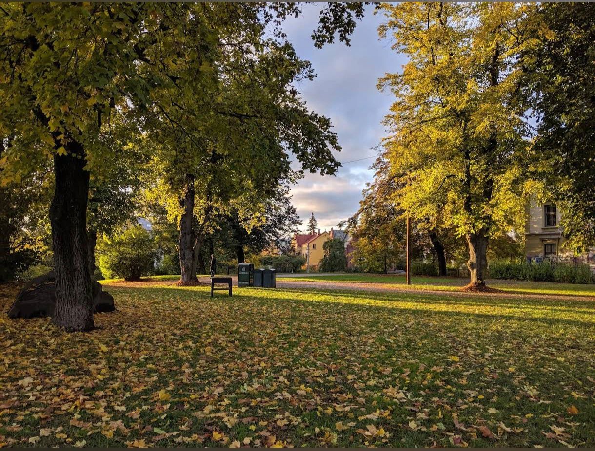 image-16
