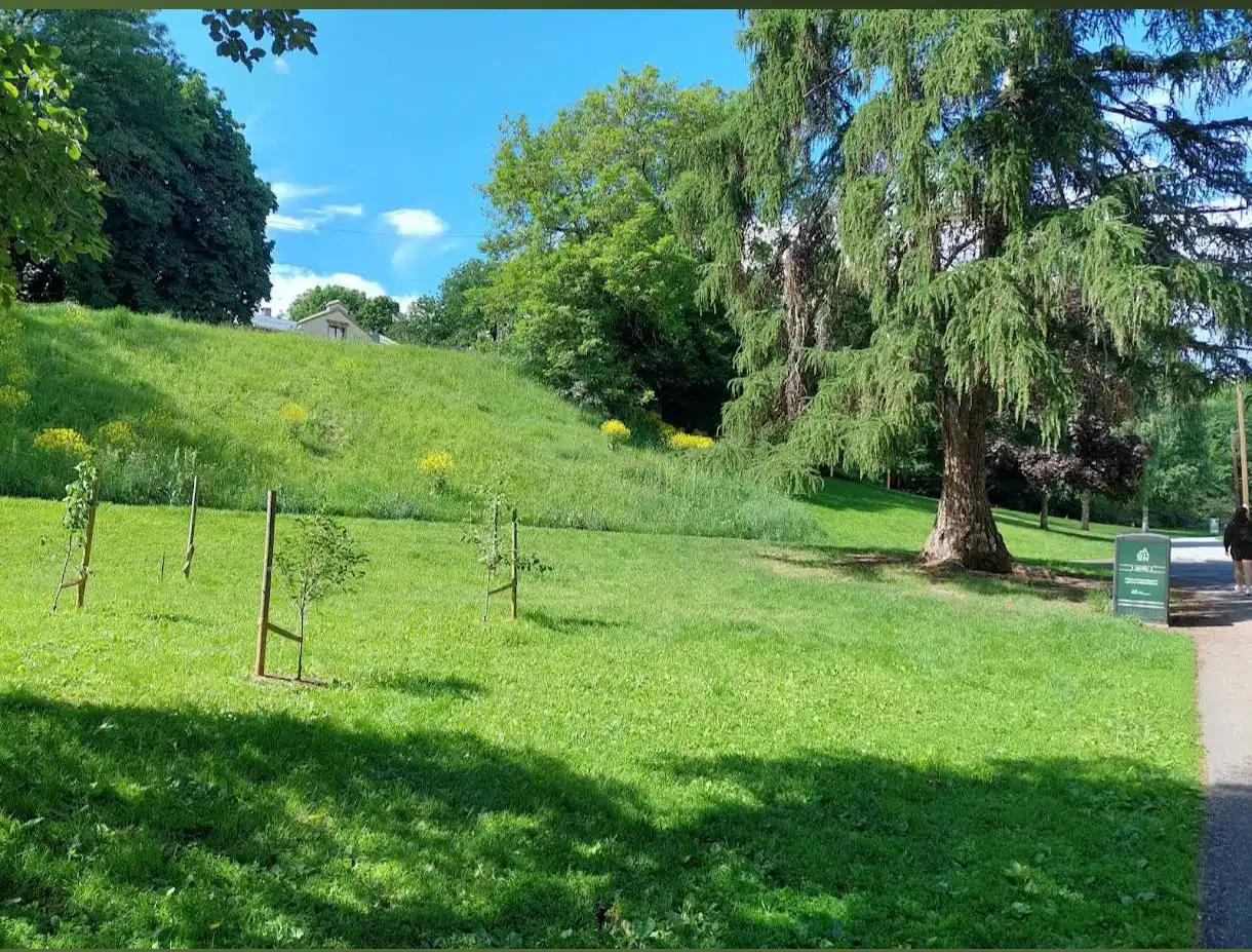 image-17